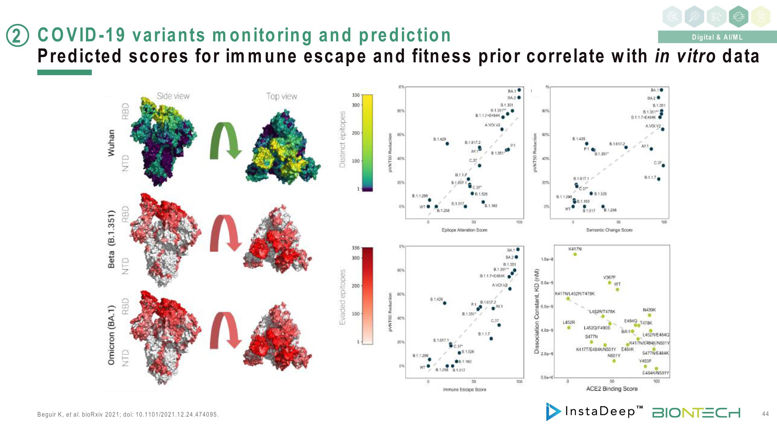 BioNTech Investor Day Presentation Deck slide image #44