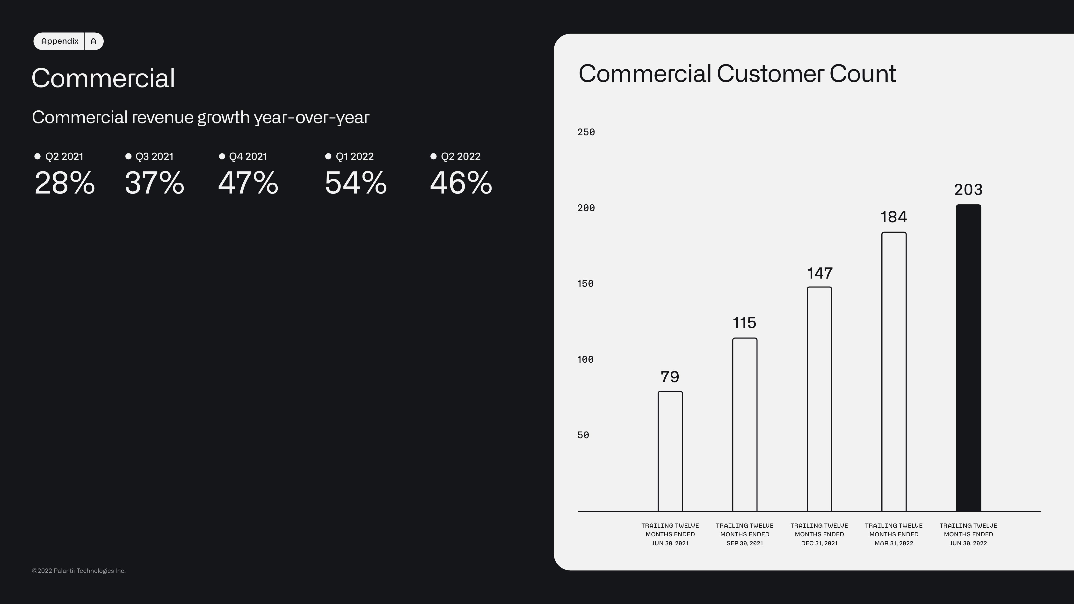 Palantir Results Presentation Deck slide image #27