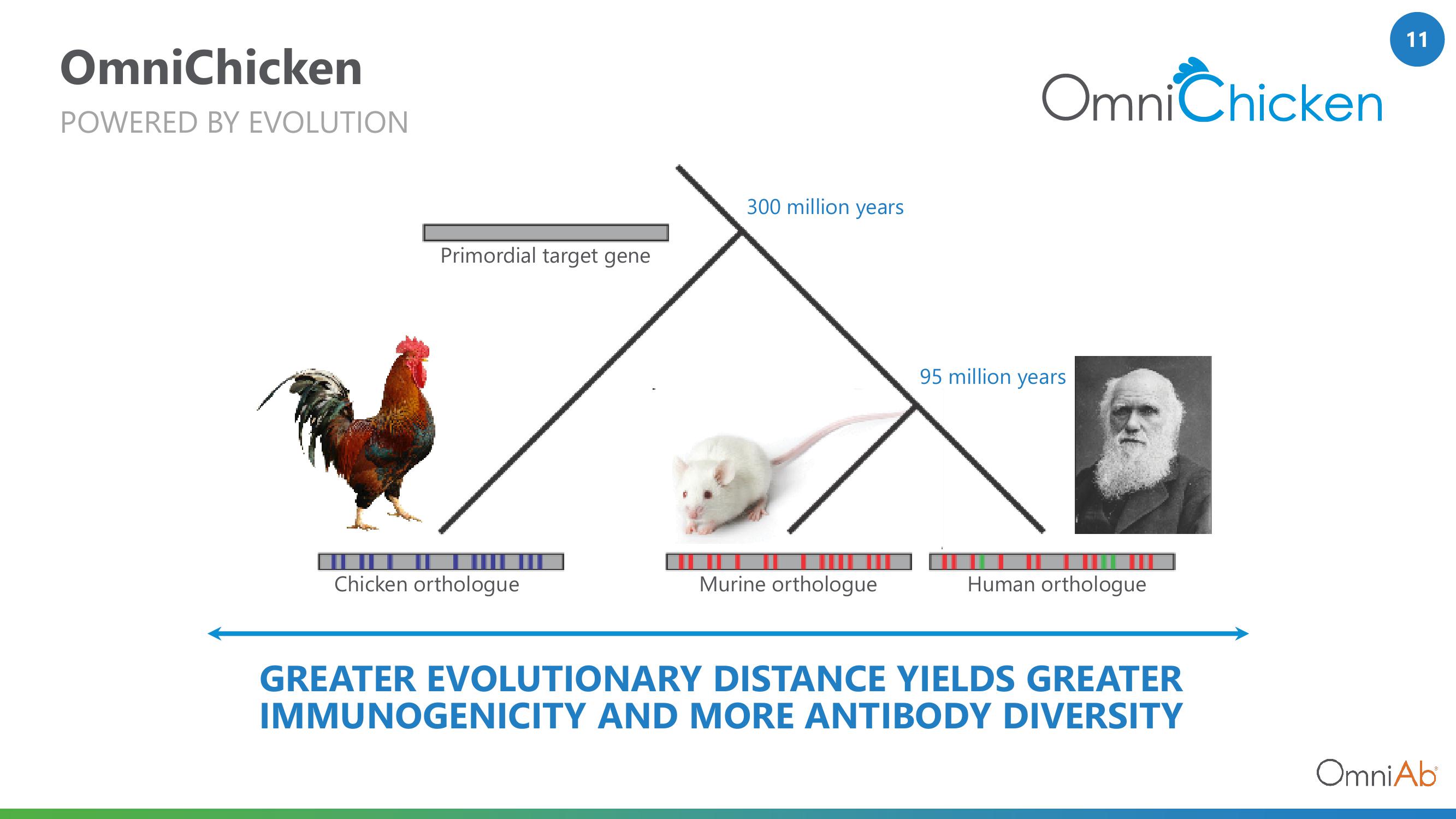 OmniAb Investor Conference Presentation Deck slide image #11