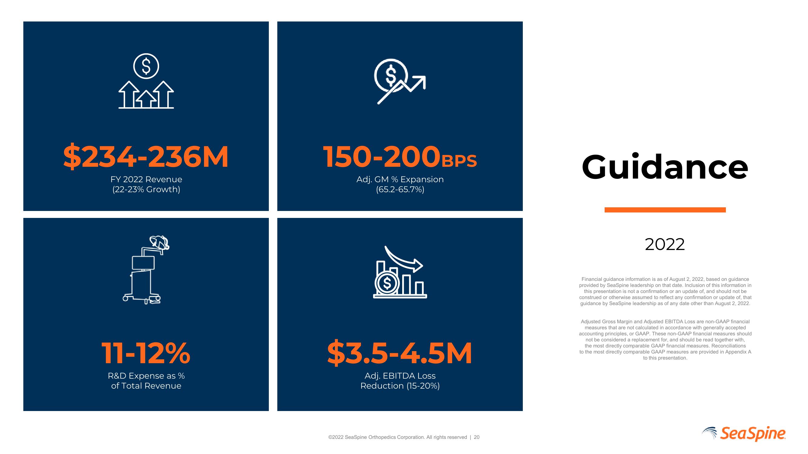 SeaSpine Investor Update slide image #20