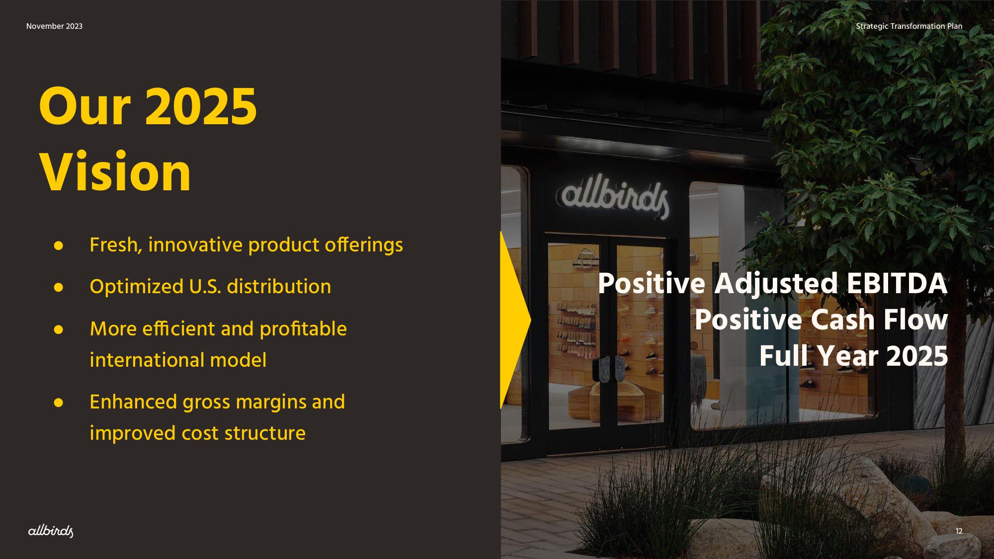 Allbirds Restructuring Presentation Deck slide image #12