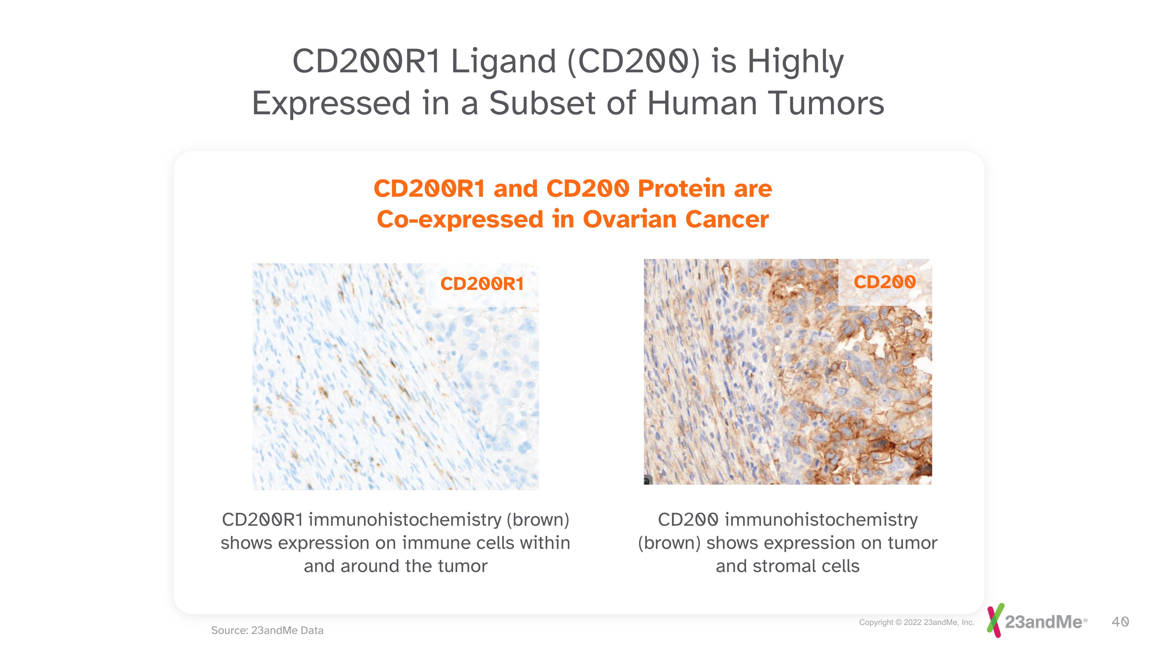 23andMe Investor Day Presentation Deck slide image #40