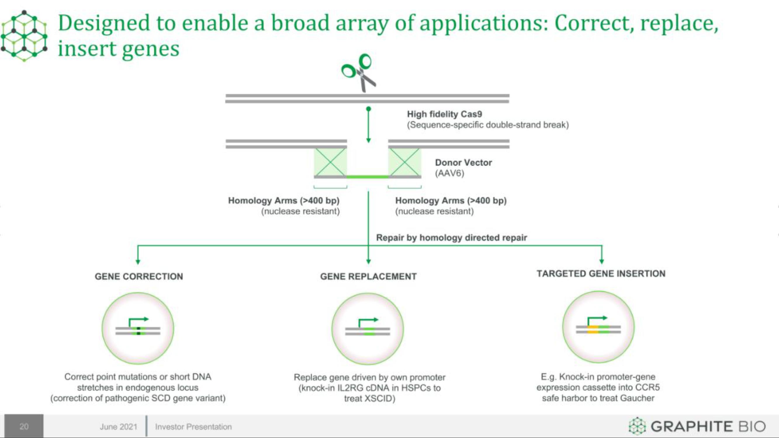 Graphite Bio IPO Presentation Deck slide image #20