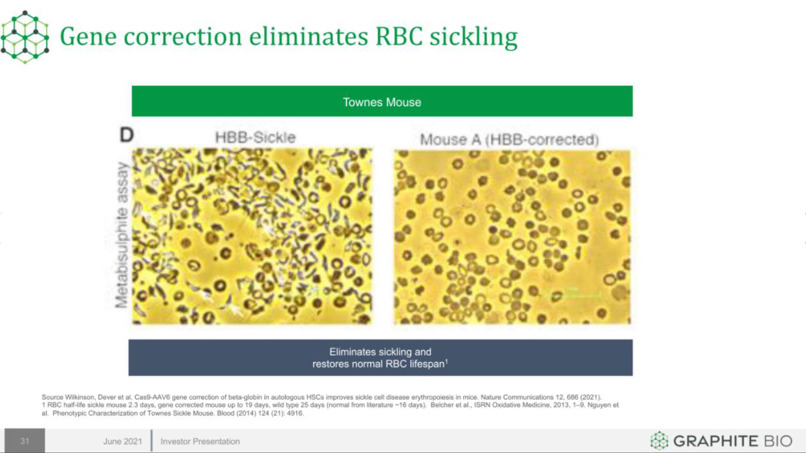 Graphite Bio IPO Presentation Deck slide image #31