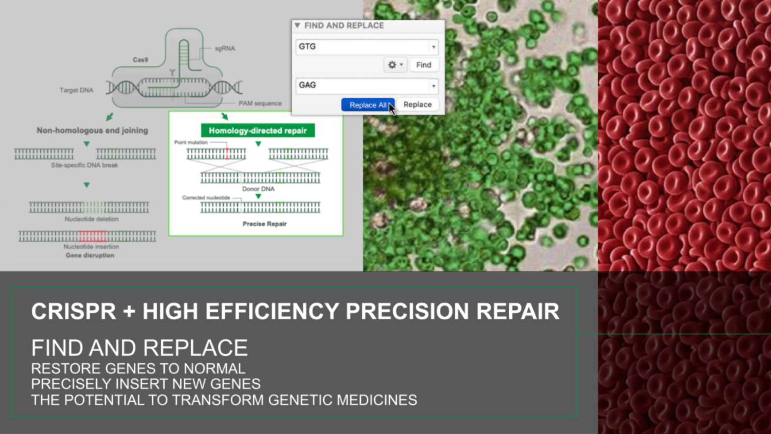 Graphite Bio IPO Presentation Deck slide image #8