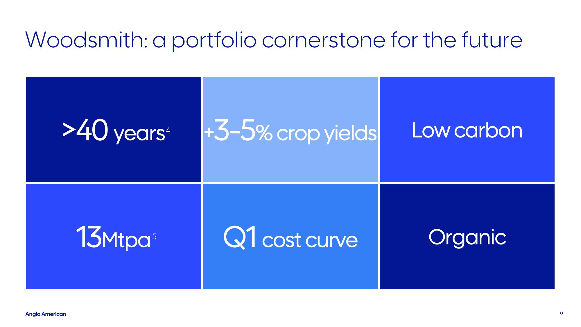 AngloAmerican Investor Conference Presentation Deck slide image #9