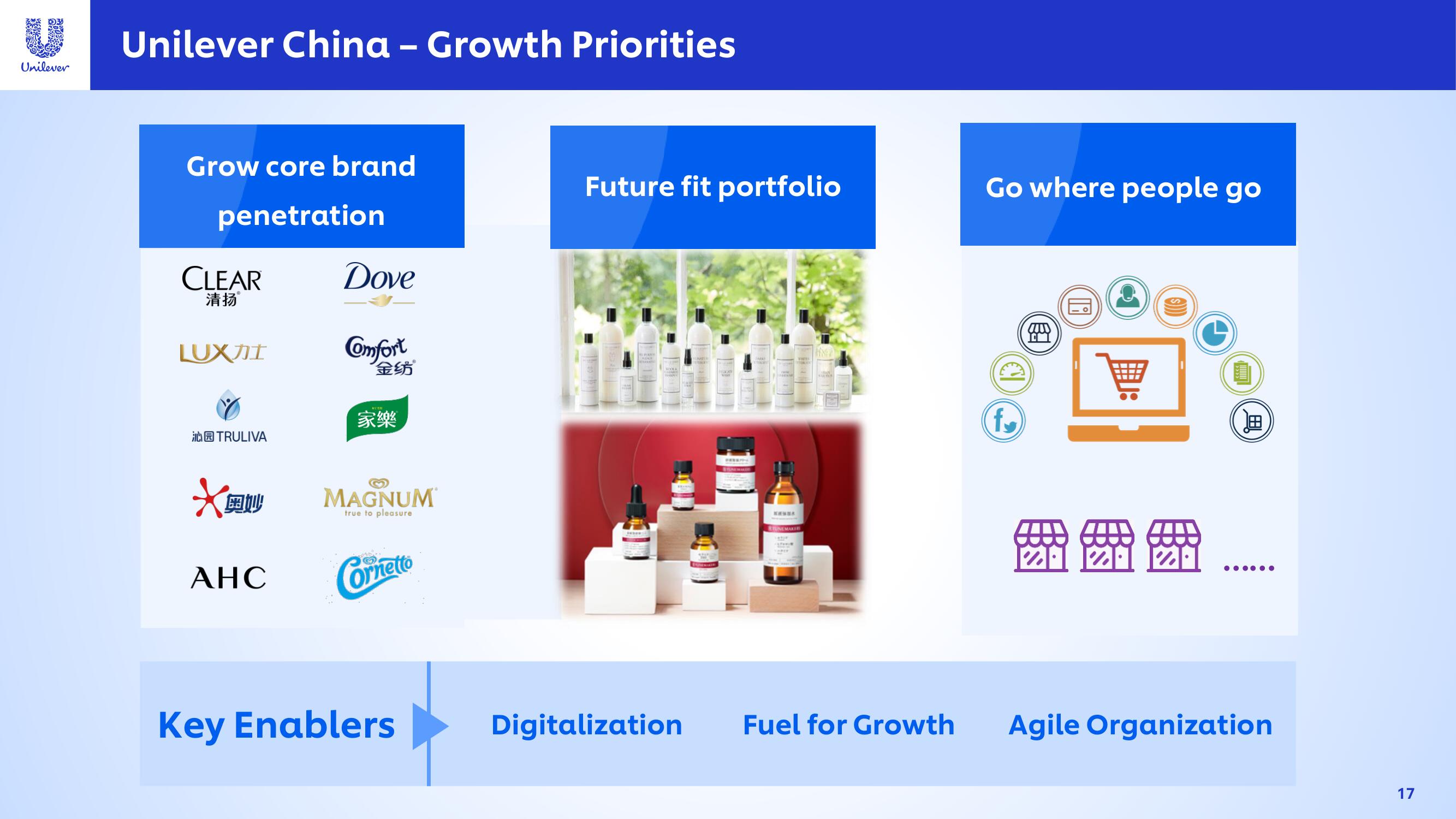 Unilever Investor Day Presentation Deck slide image #17