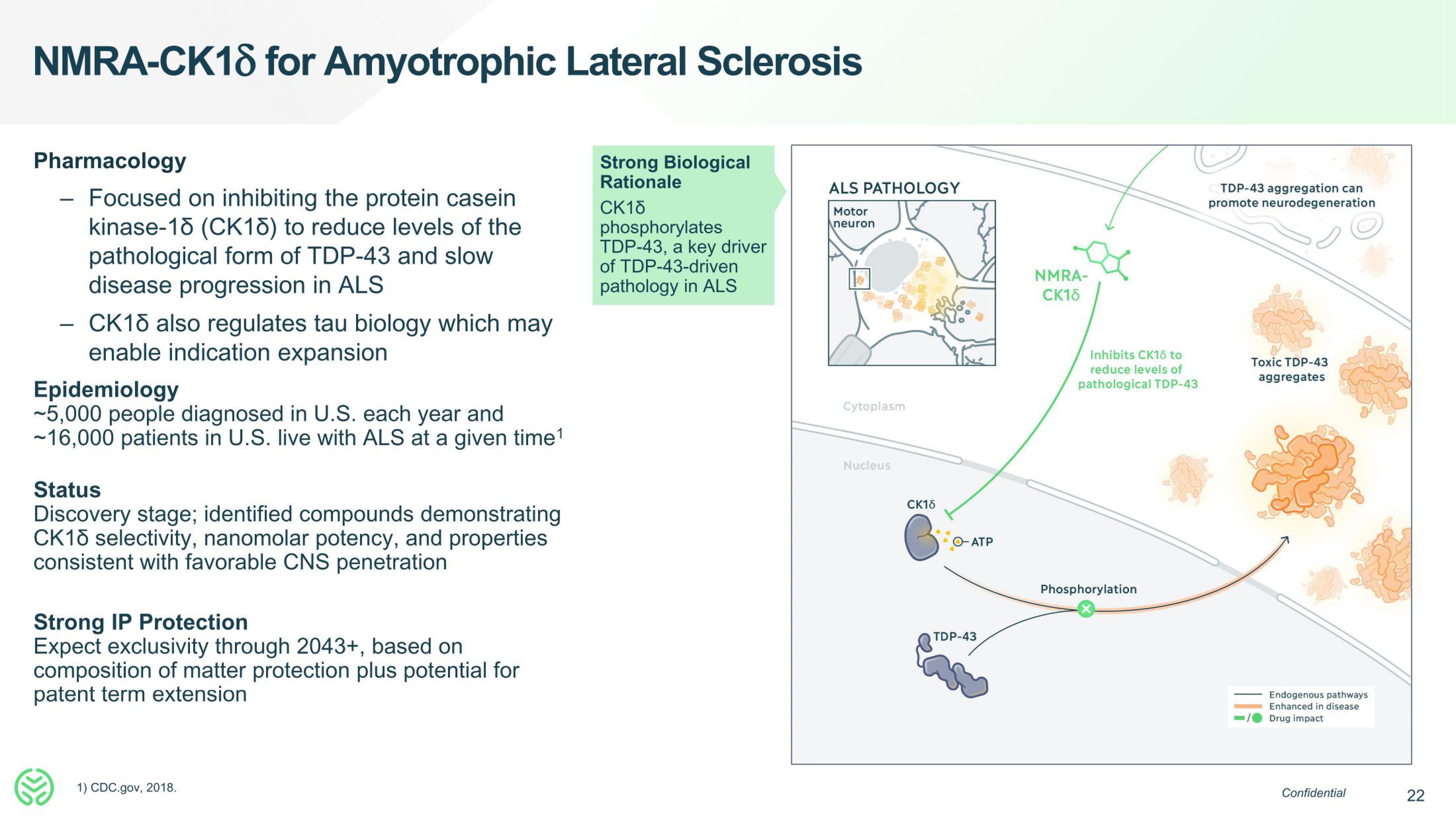 Neumora Therapeutics IPO Presentation Deck slide image #22