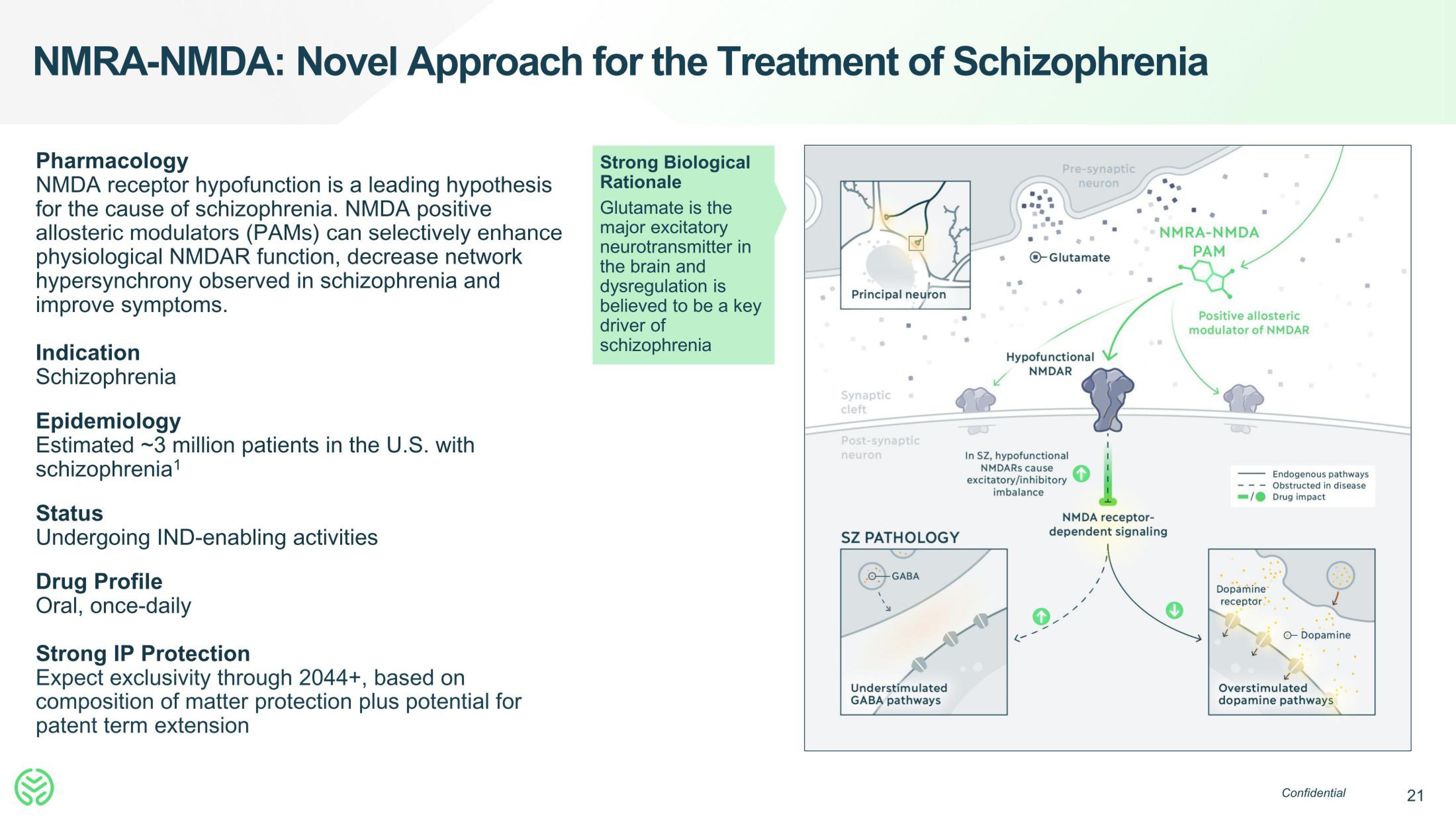 Neumora Therapeutics IPO Presentation Deck slide image #21