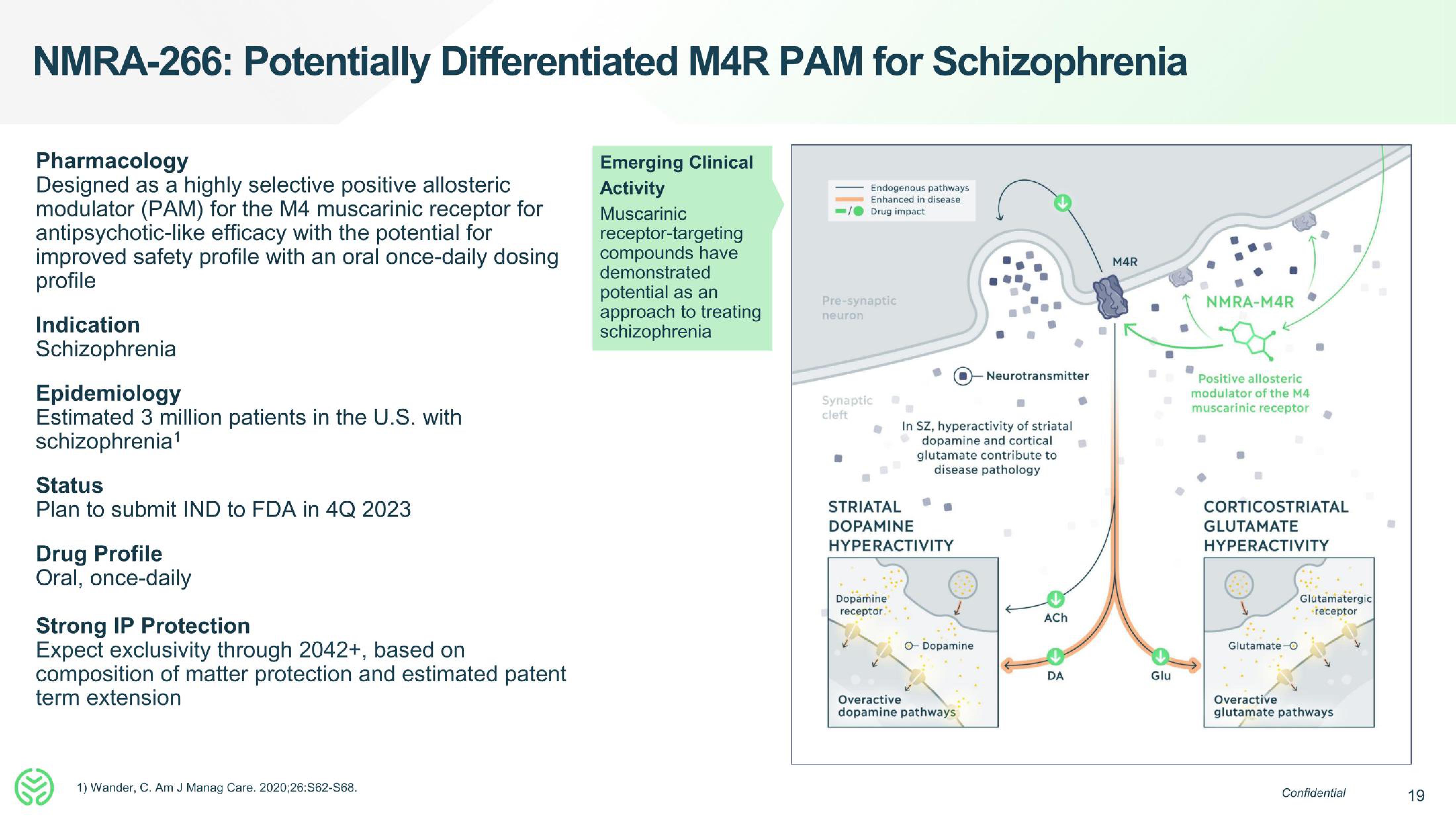 Neumora Therapeutics IPO Presentation Deck slide image #19