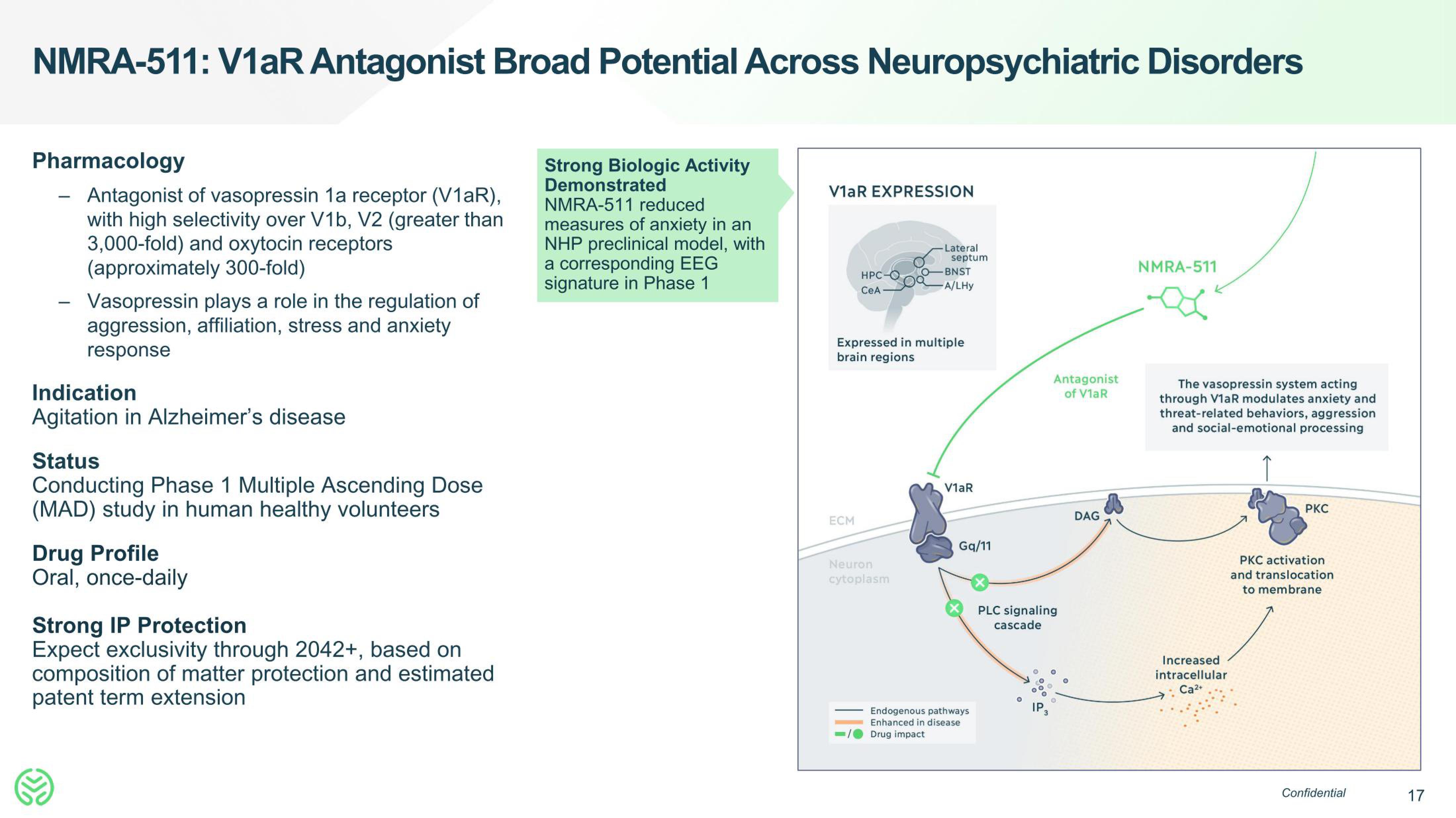 Neumora Therapeutics IPO Presentation Deck slide image #17