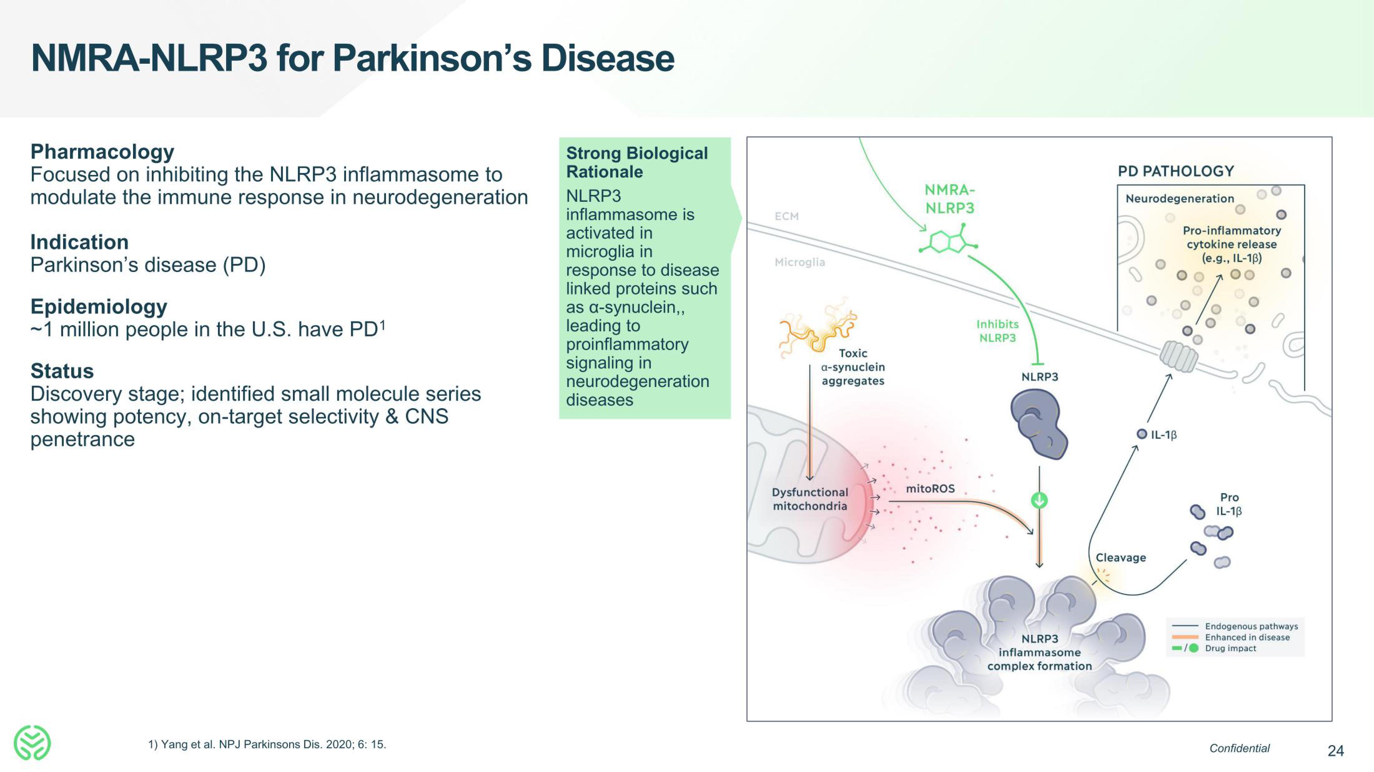 Neumora Therapeutics IPO Presentation Deck slide image #24