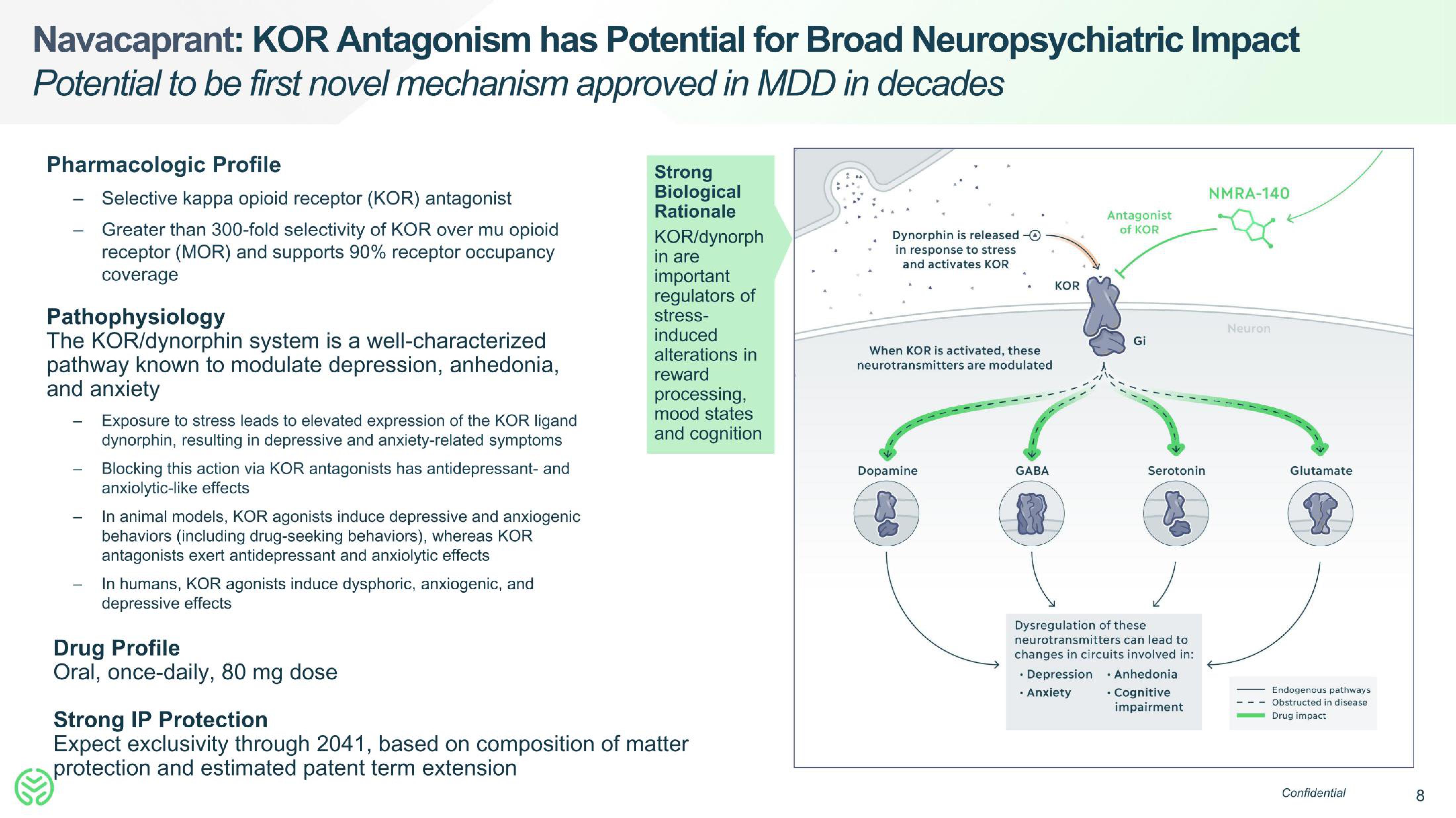 Neumora Therapeutics IPO Presentation Deck slide image #8