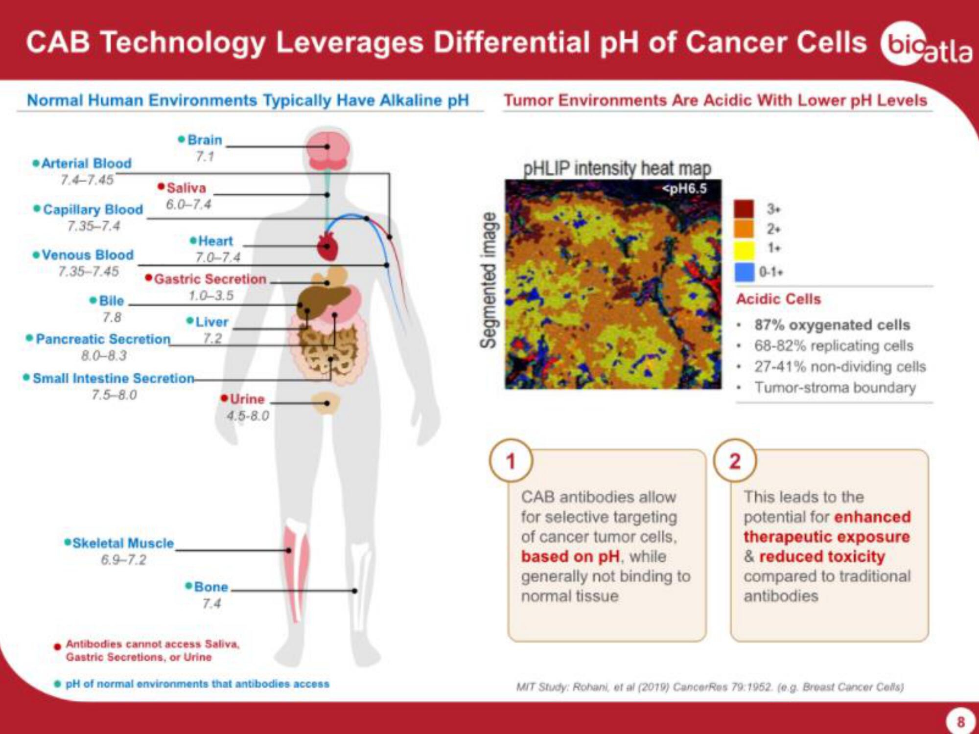 BioAtla IPO Presentation Deck slide image #8