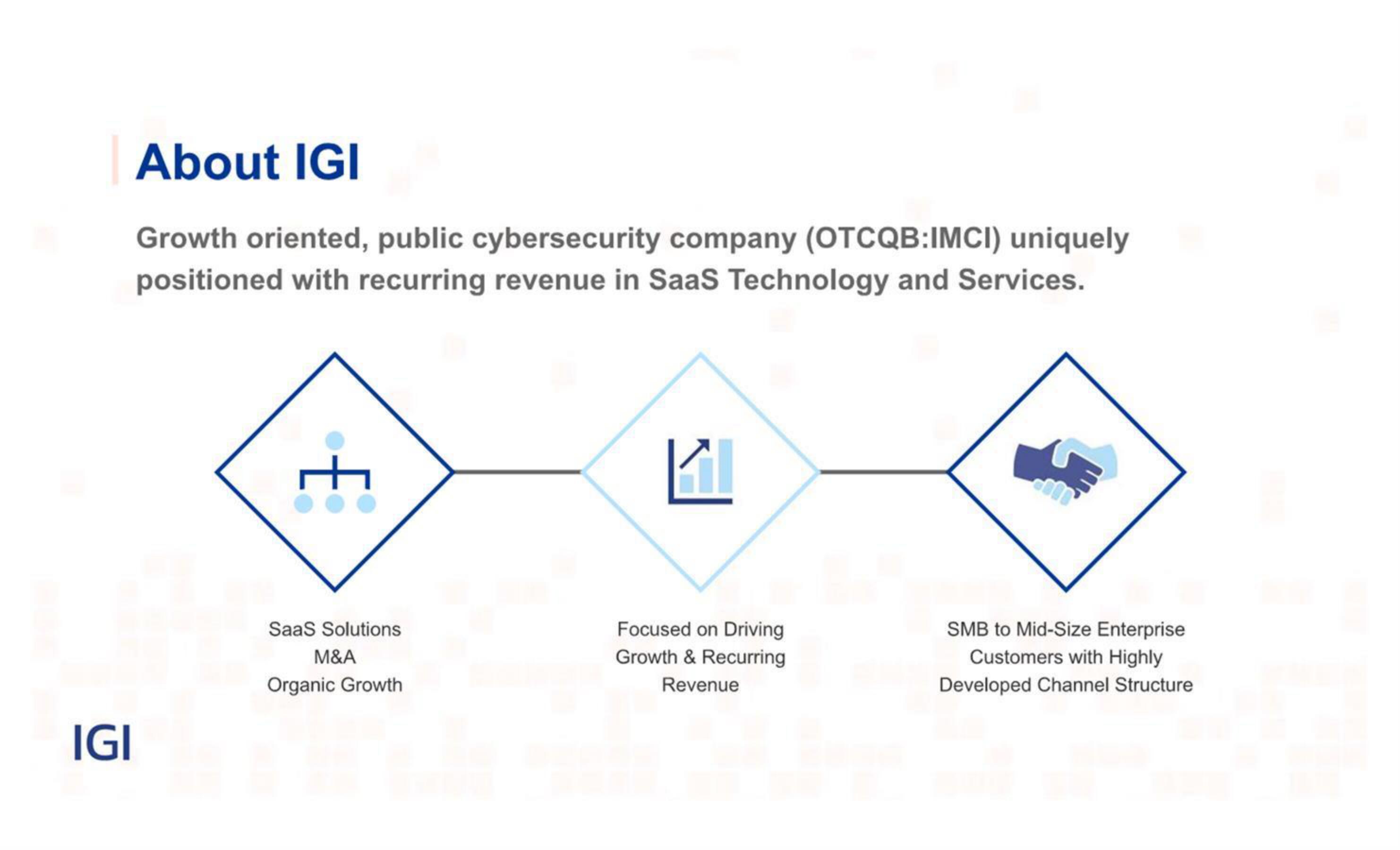 IGI IPO Presentation Deck slide image #6