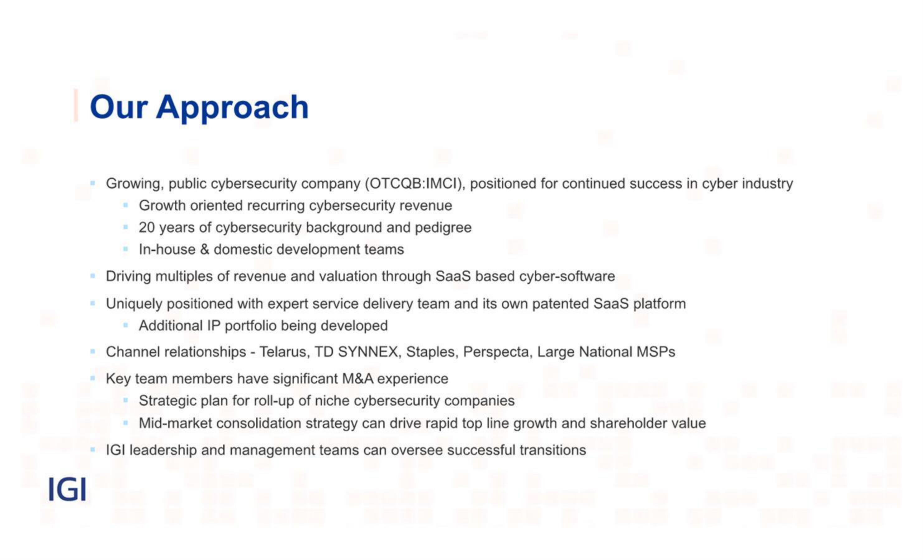 IGI IPO Presentation Deck slide image #21