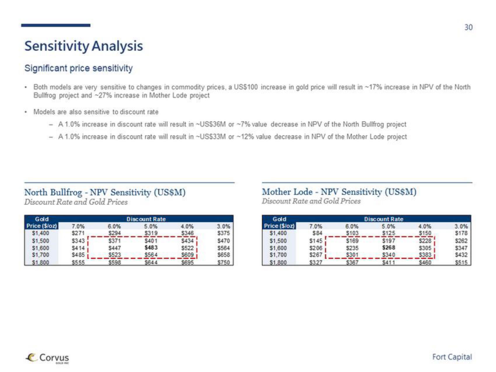 Fort Capital Investment Banking Pitch Book slide image #30