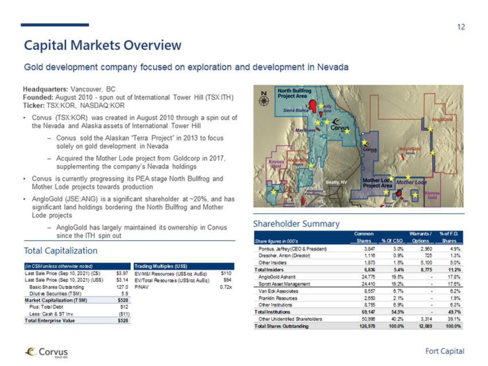 Fort Capital Investment Banking Pitch Book slide image #12