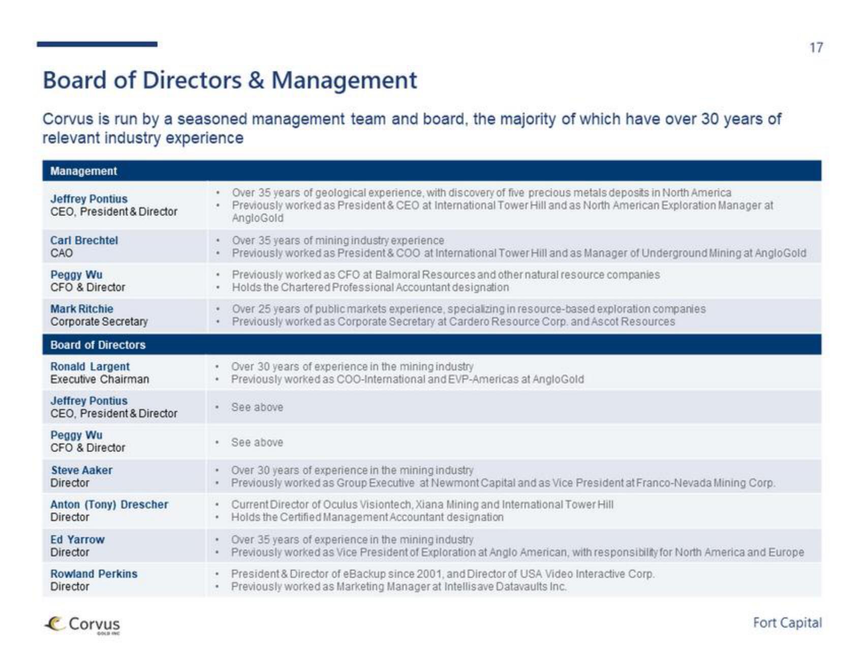 Fort Capital Investment Banking Pitch Book slide image #17