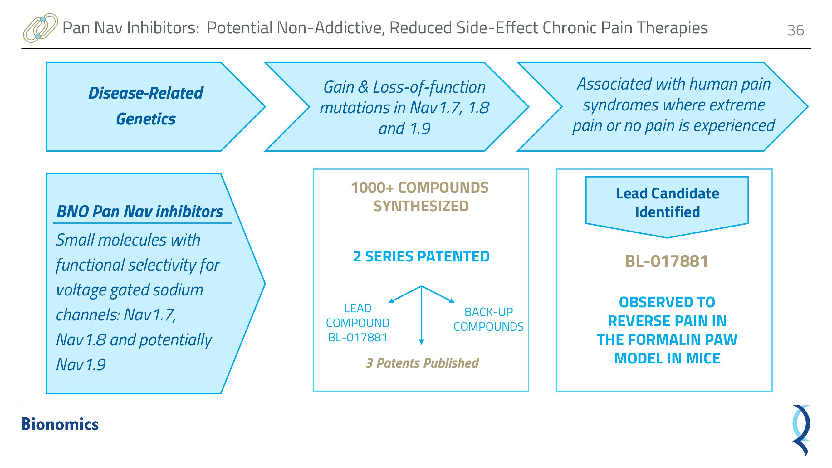 Bionomics Investor Presentation Deck slide image #36