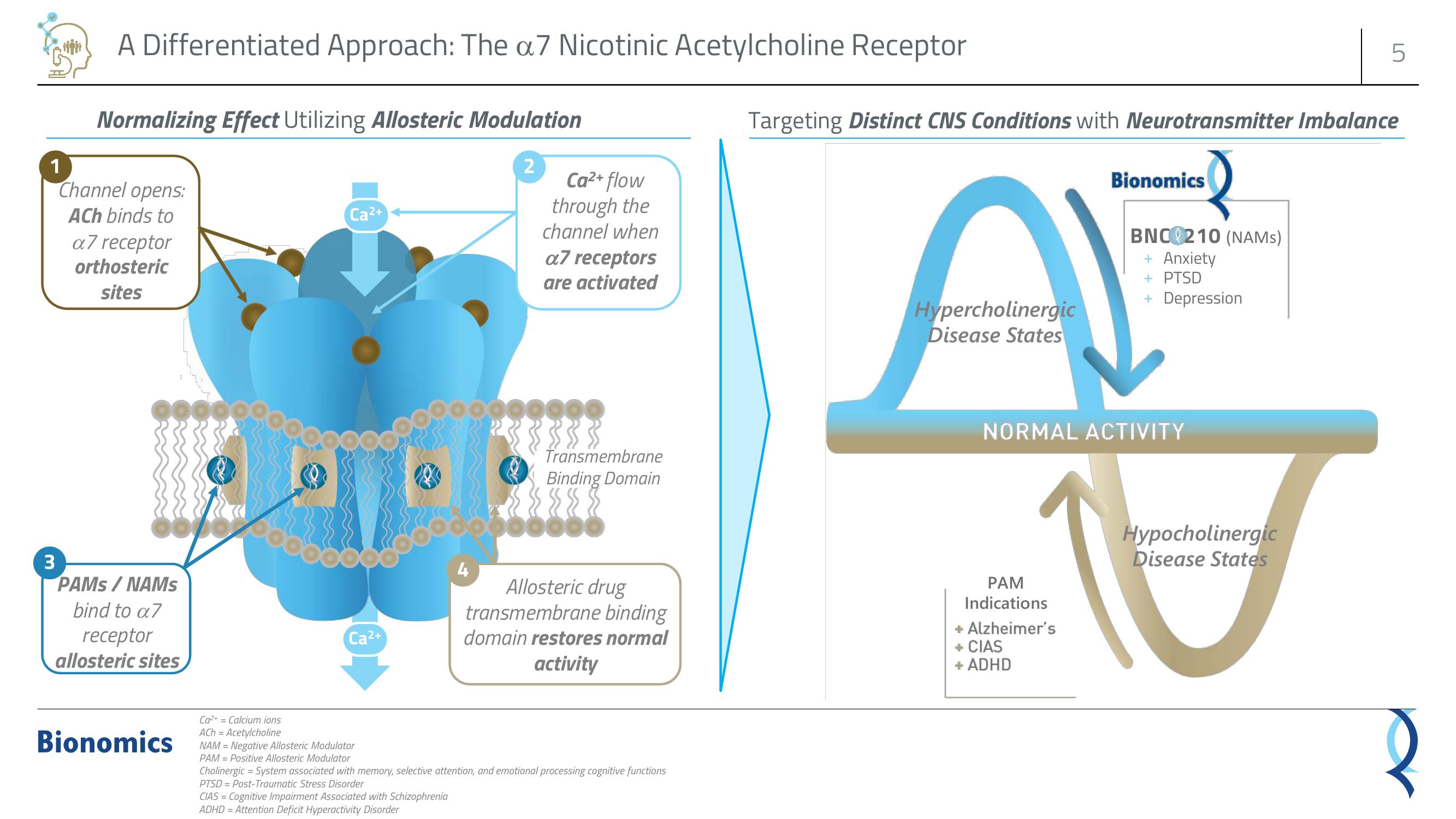 Bionomics Investor Presentation Deck slide image #5