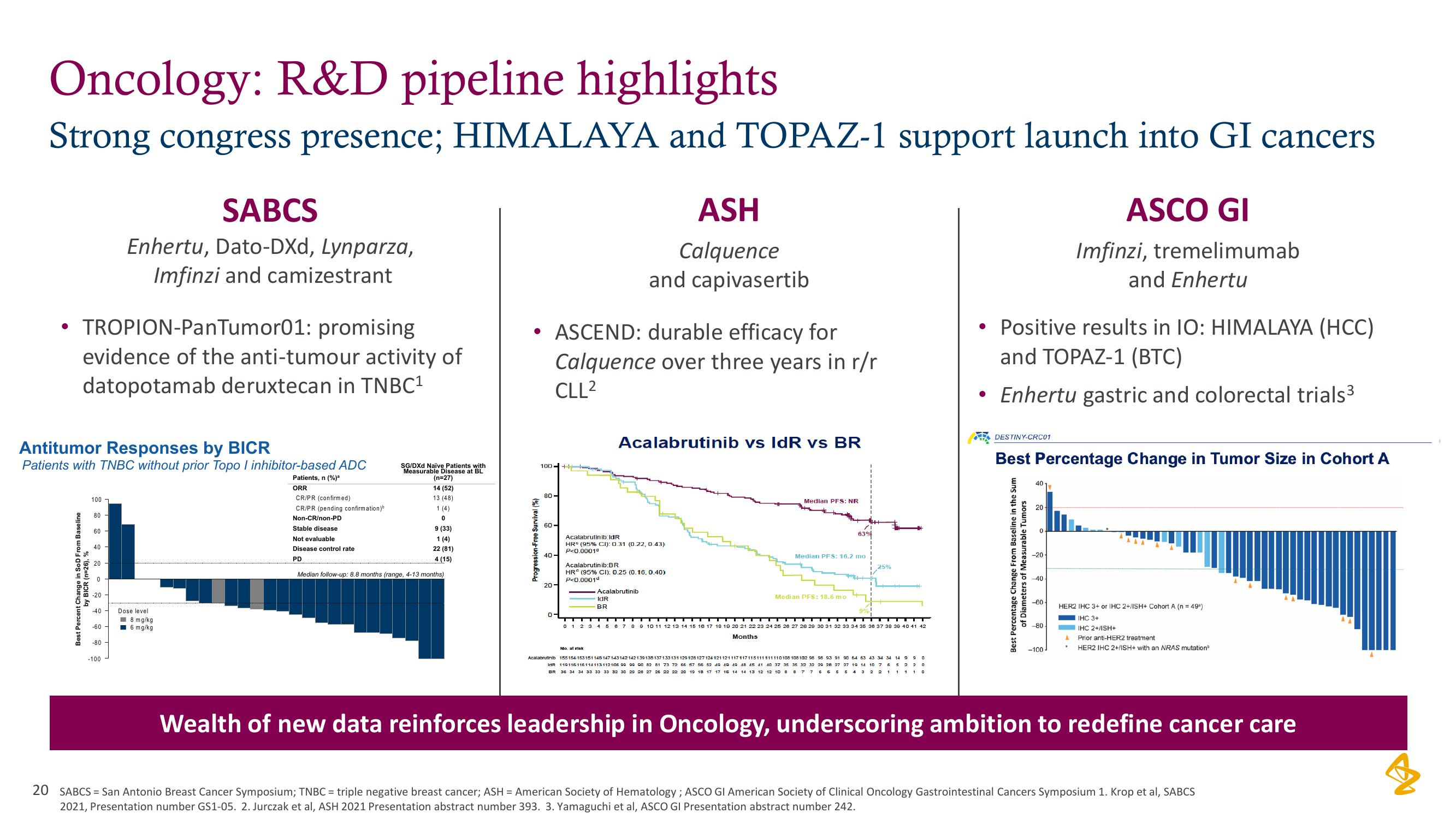 AstraZeneca Results Presentation Deck slide image #20