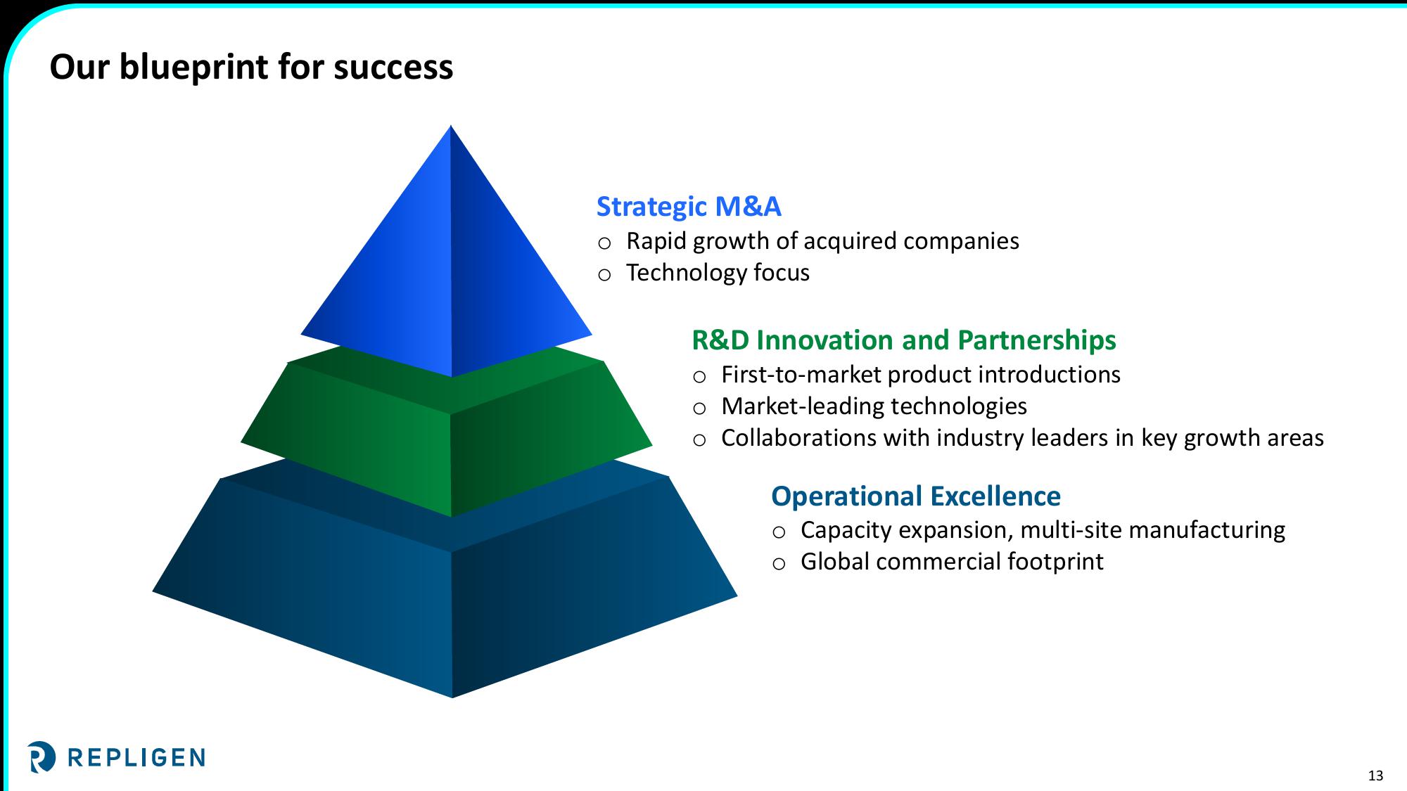 Investor Presentation slide image #13