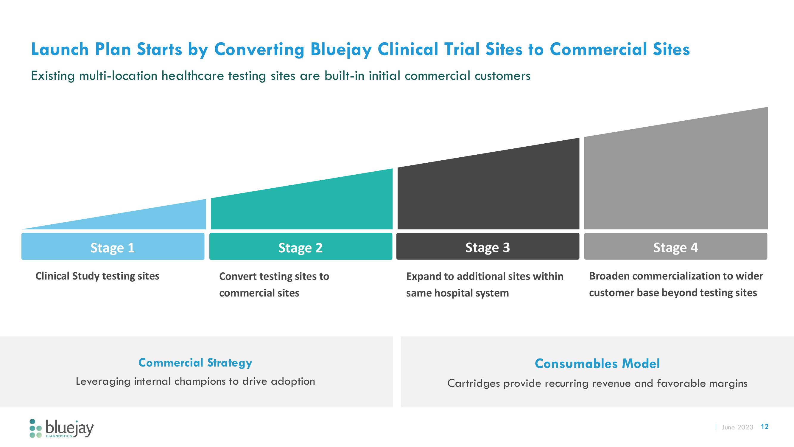 Bluejay Investor Presentation Deck slide image #12