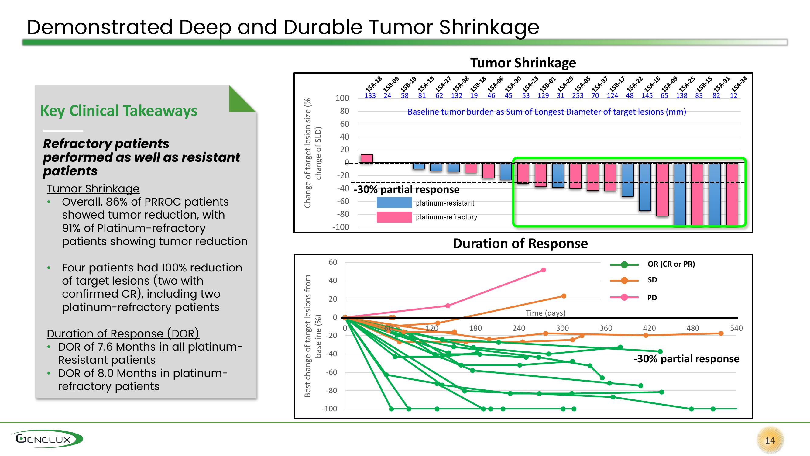 Genelux Investor Presentation Deck slide image #14