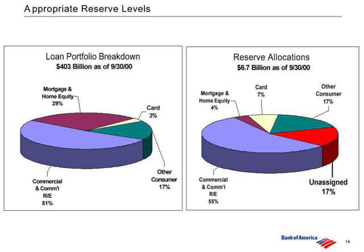 Bank of America Investor Conference Presentation Deck slide image #15