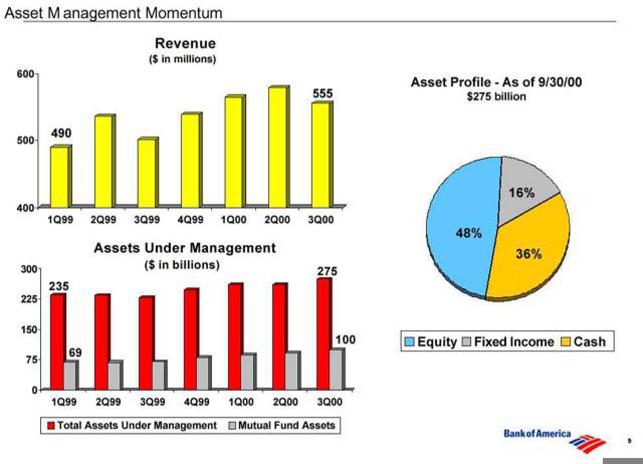 Bank of America Investor Conference Presentation Deck slide image #10