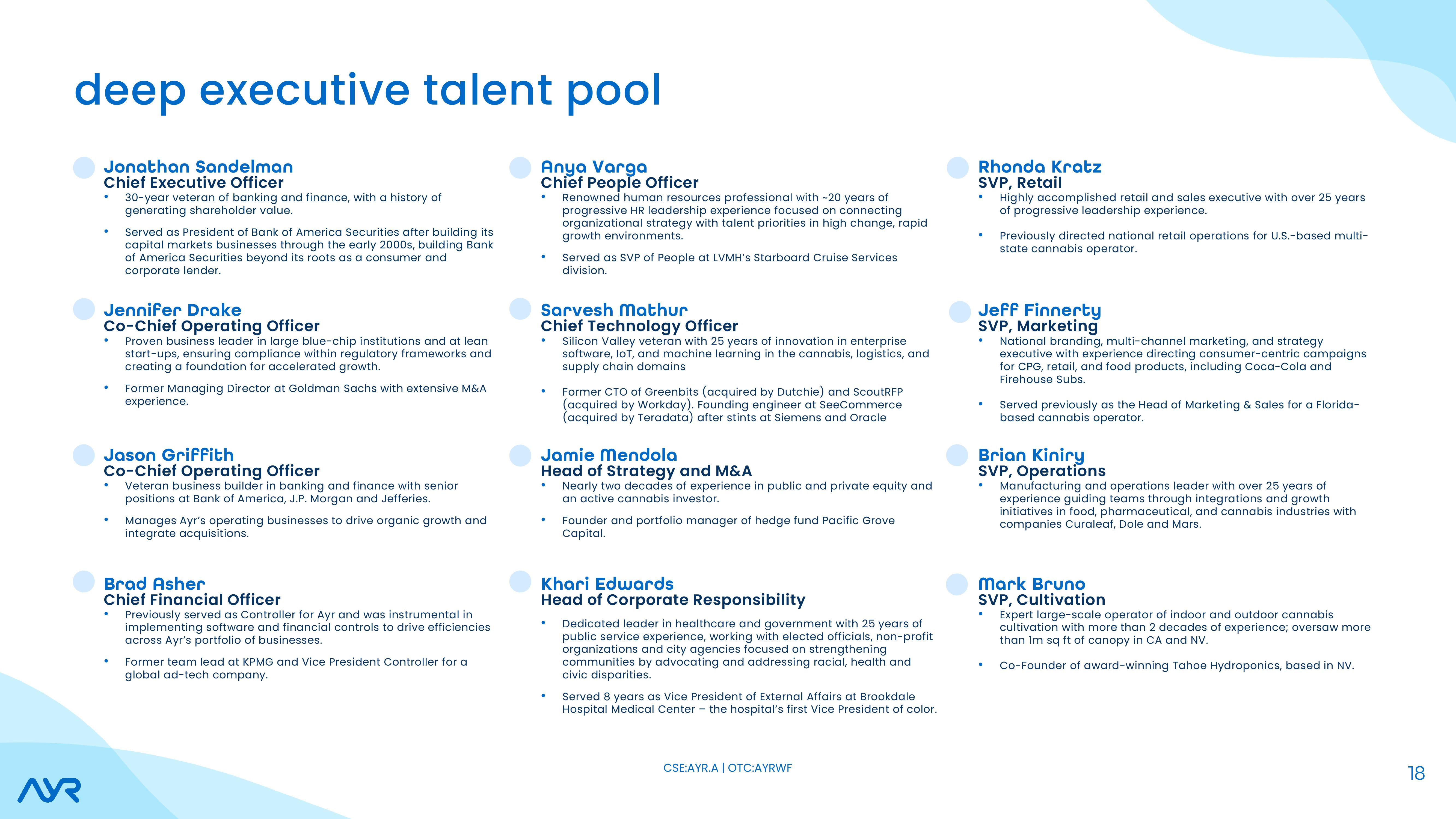 Investor Presentation slide image #18