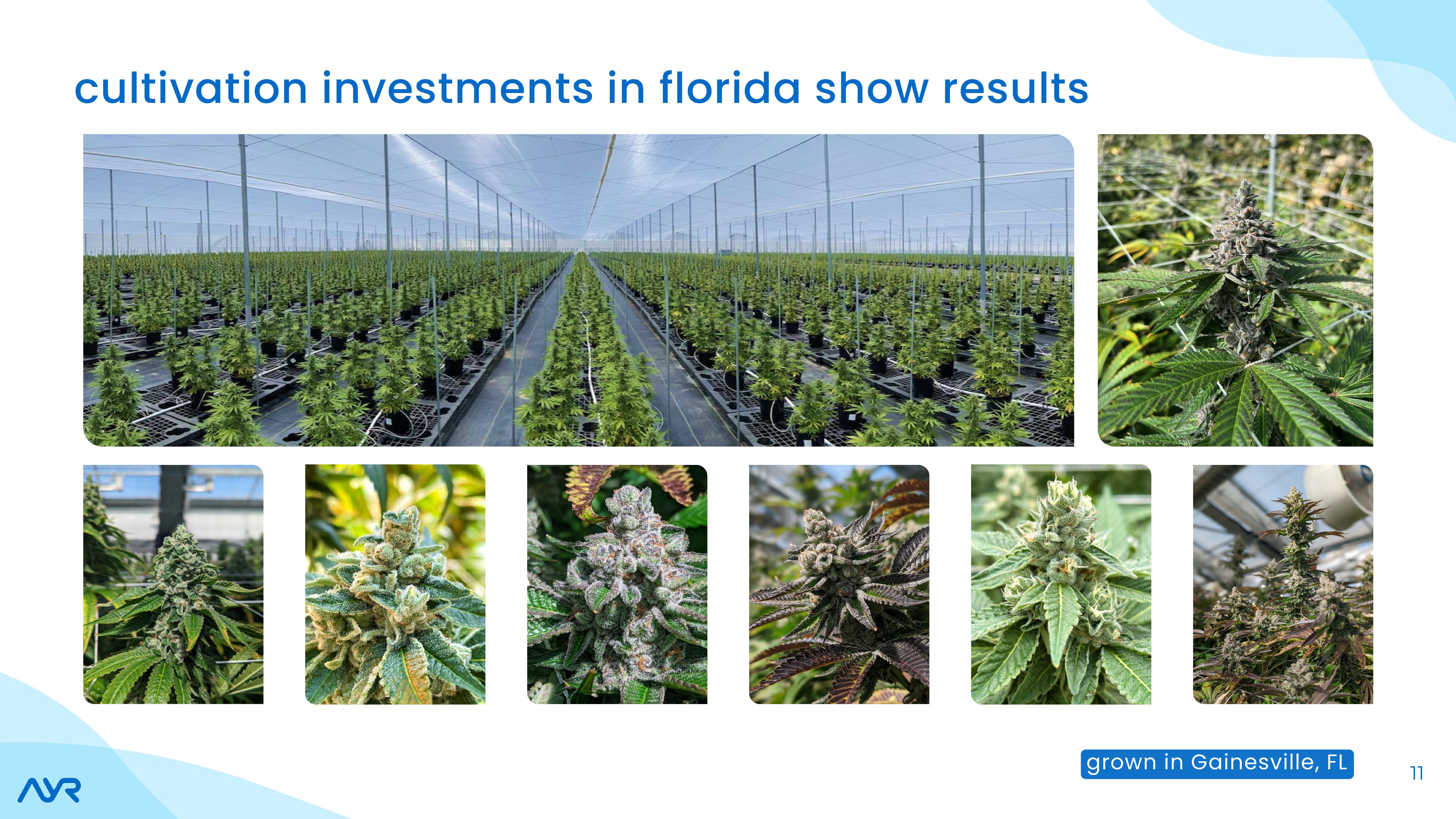 Investor Presentation slide image #11