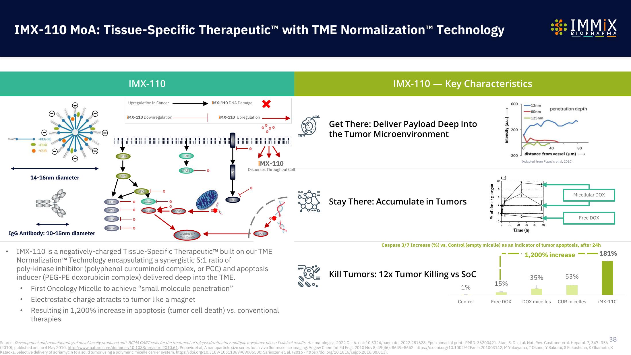 Immix Biopharma Investor Presentation Deck slide image #38