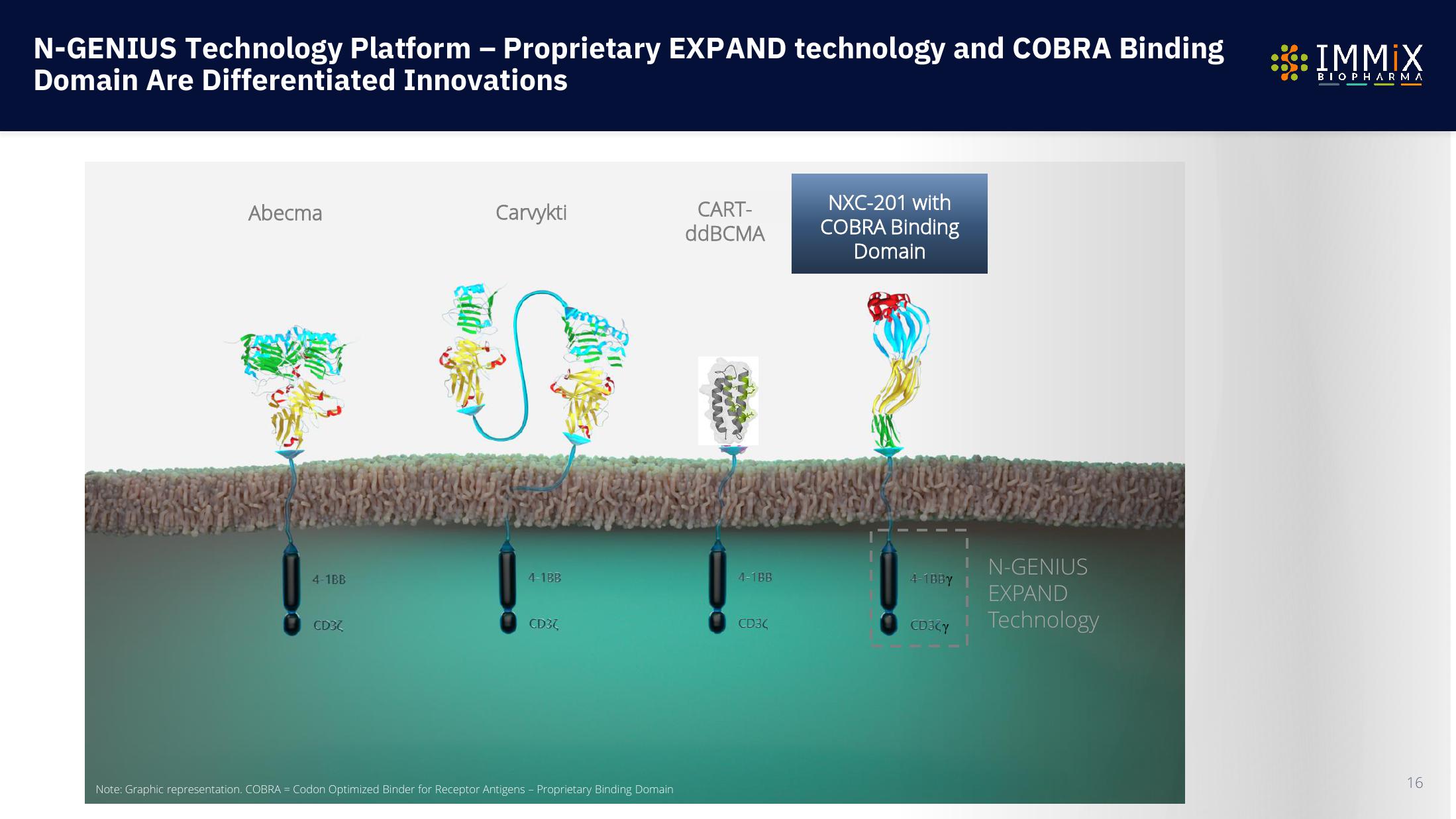 Immix Biopharma Investor Presentation Deck slide image #16