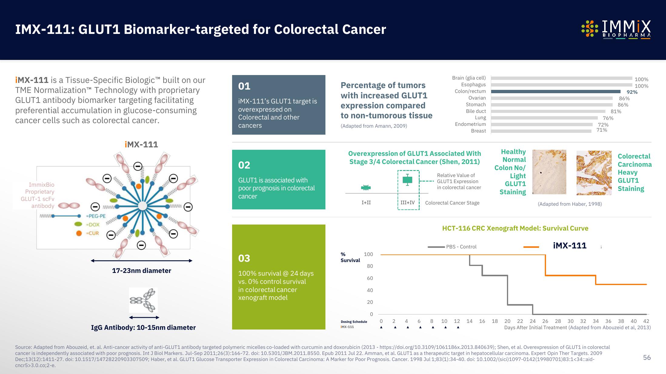 Immix Biopharma Investor Presentation Deck slide image #56