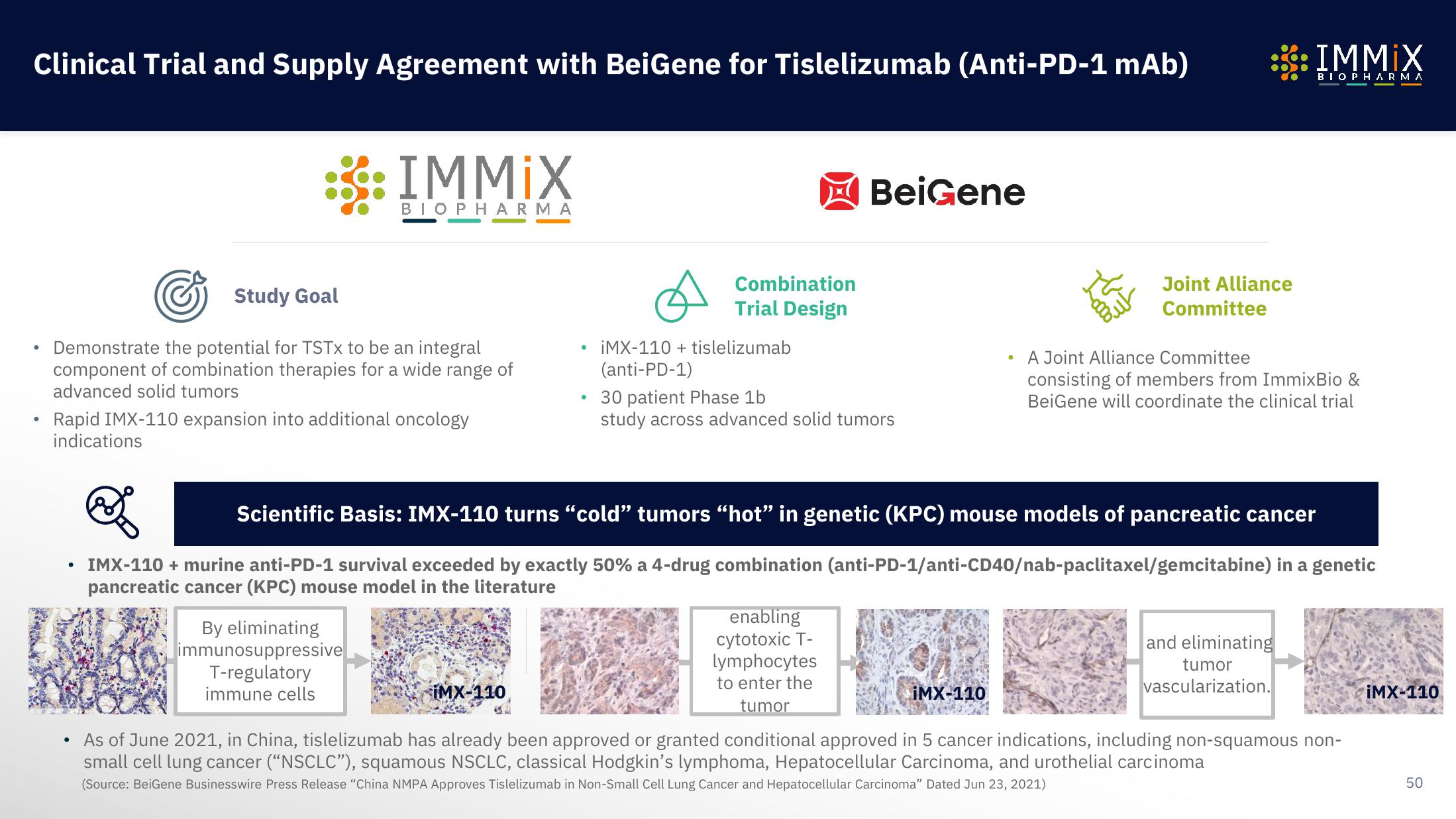 Immix Biopharma Investor Presentation Deck slide image #50