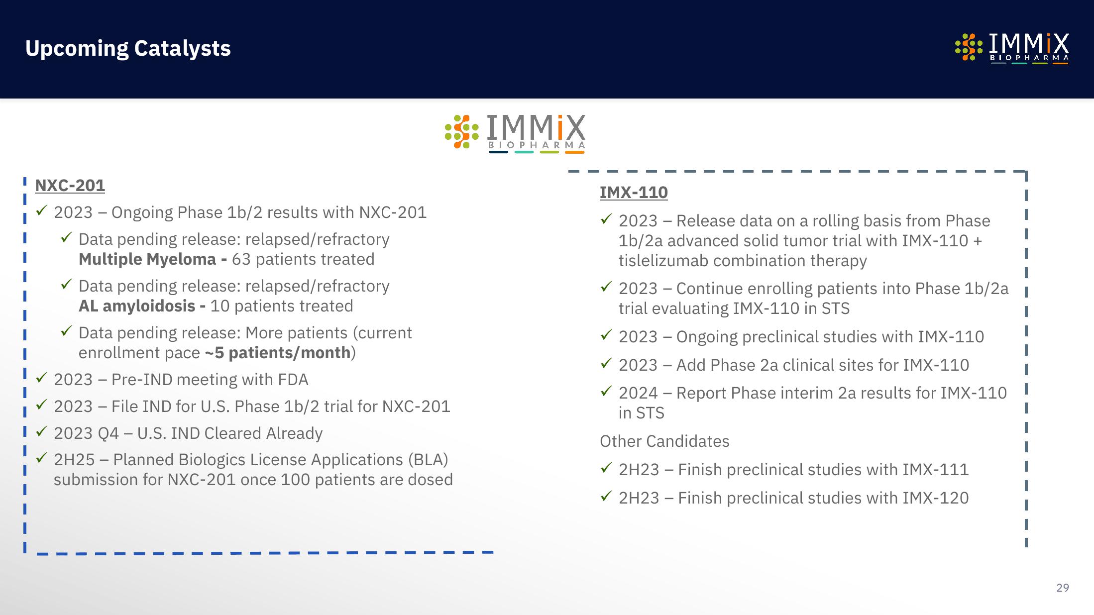 Immix Biopharma Investor Presentation Deck slide image #29