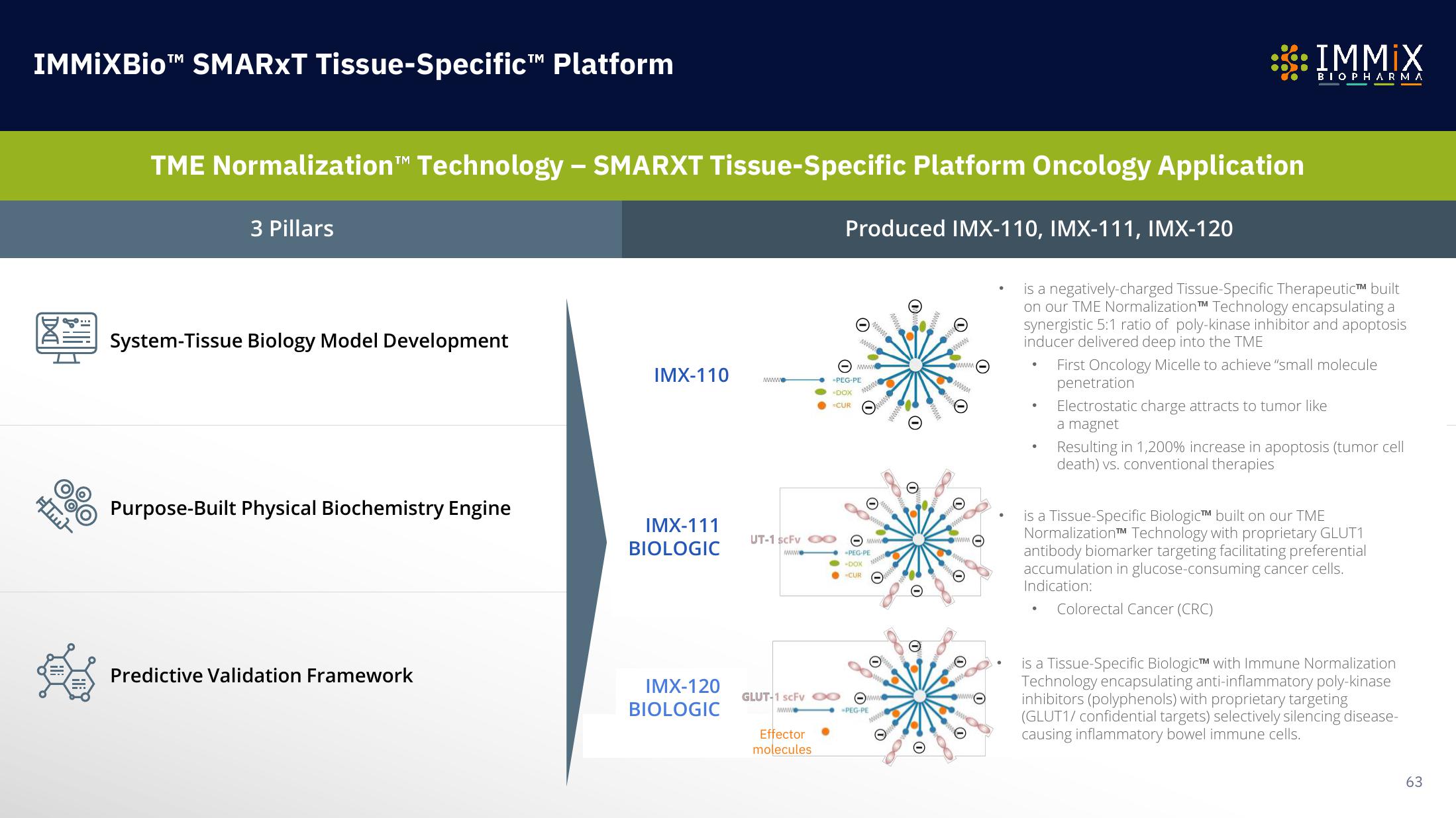 Immix Biopharma Investor Presentation Deck slide image #63