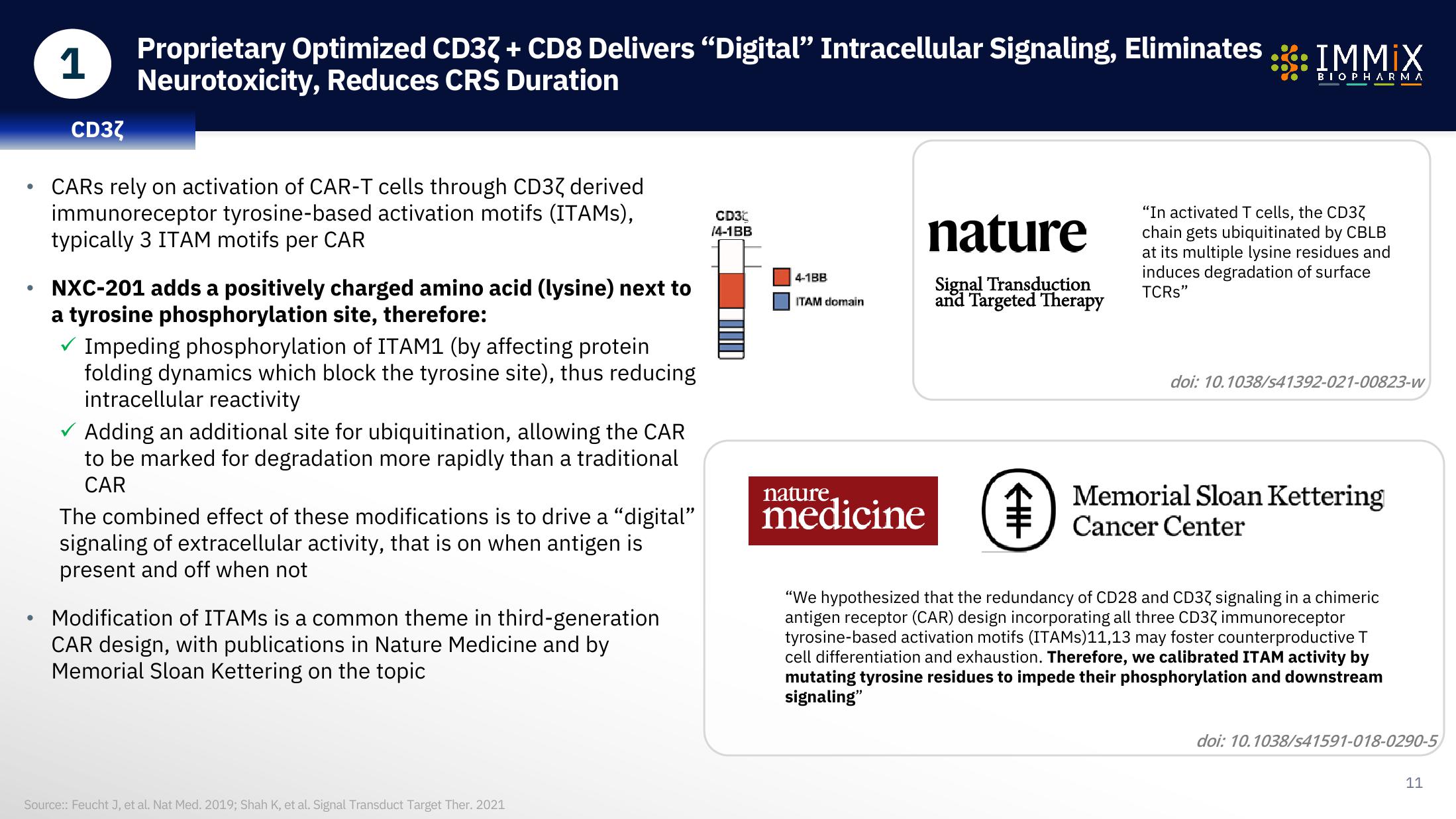 Immix Biopharma Investor Presentation Deck slide image #11