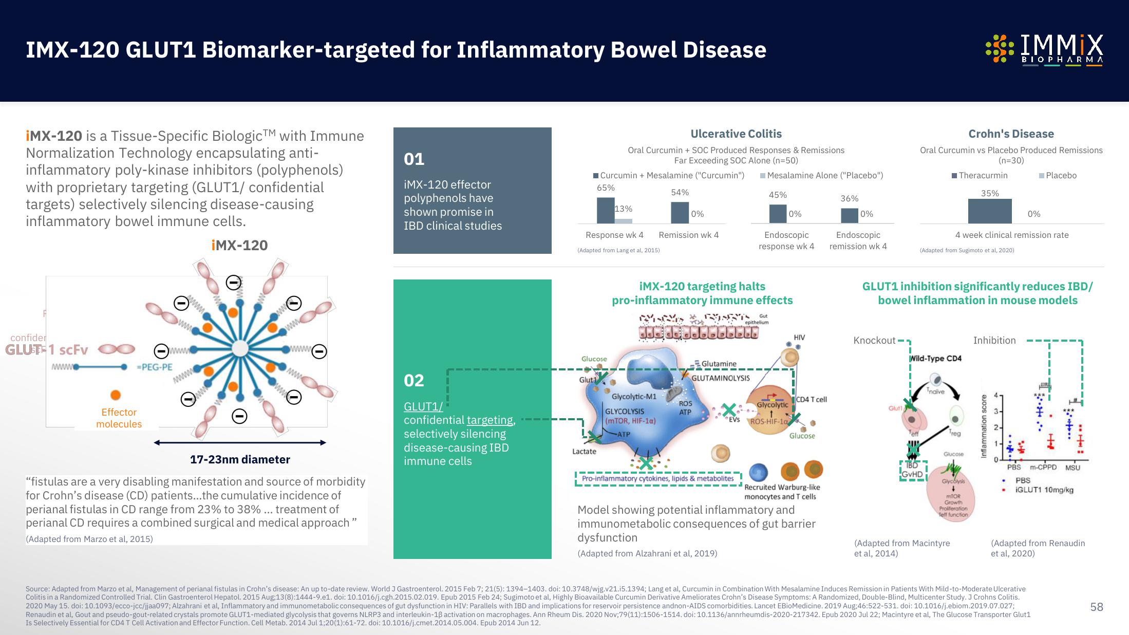 Immix Biopharma Investor Presentation Deck slide image #58