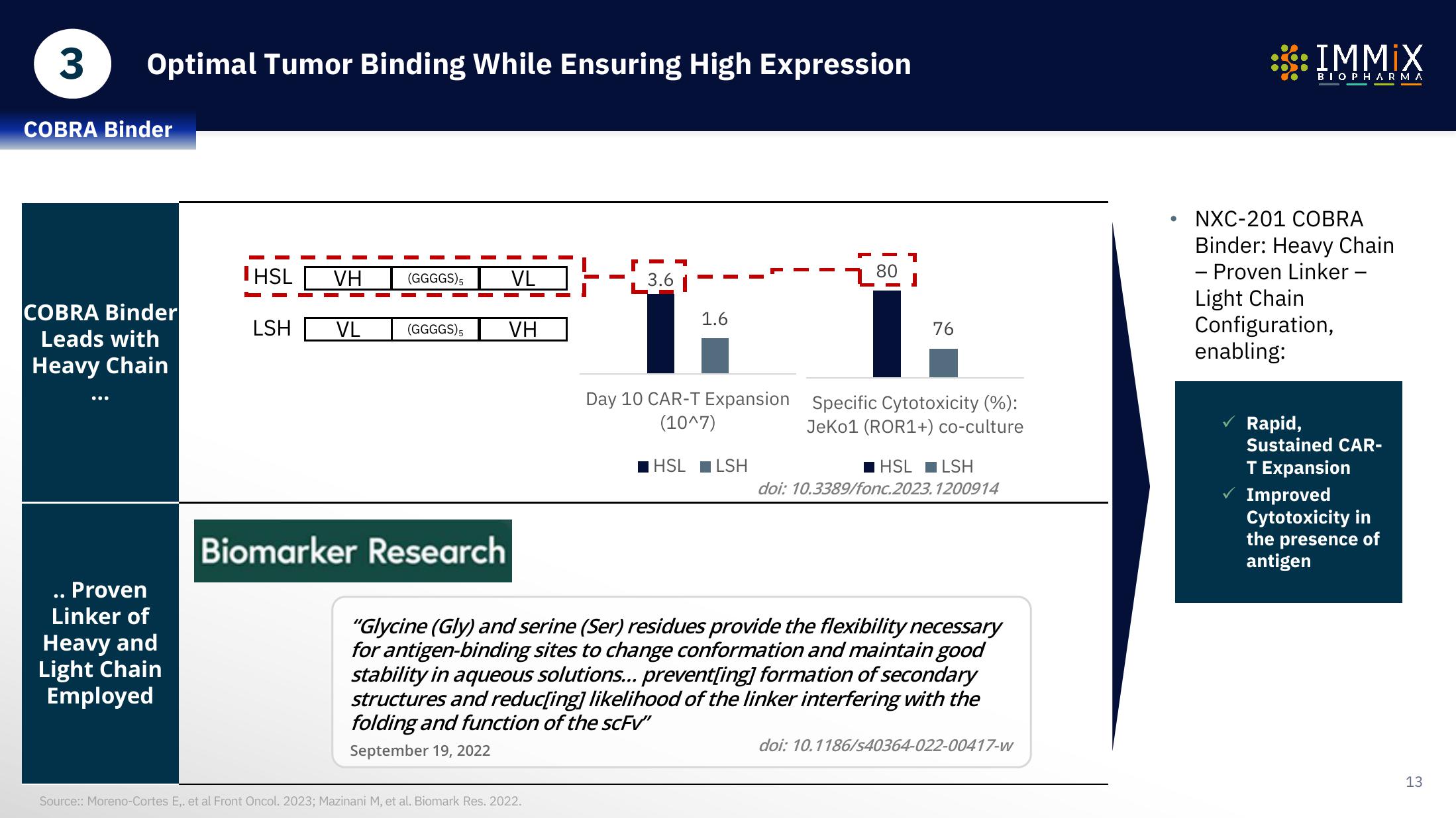 Immix Biopharma Investor Presentation Deck slide image #13