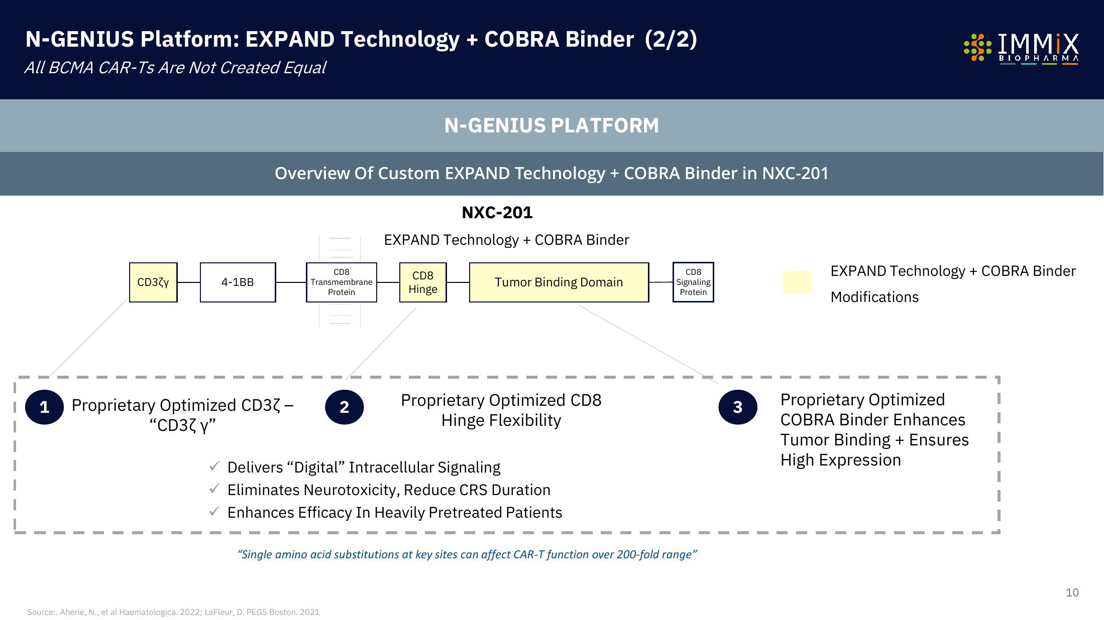 Immix Biopharma Investor Presentation Deck slide image #10