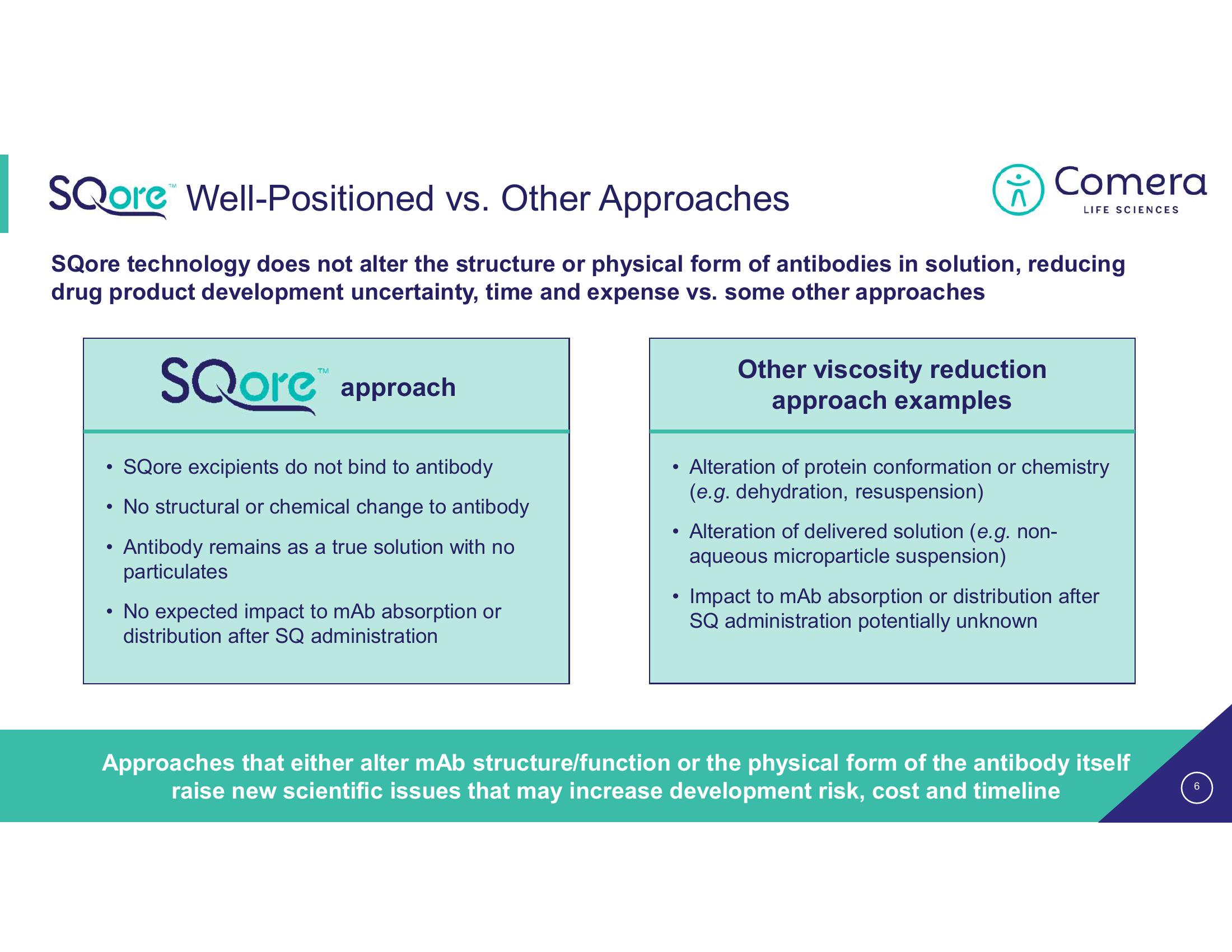 Comera Investor Presentation Deck slide image #6