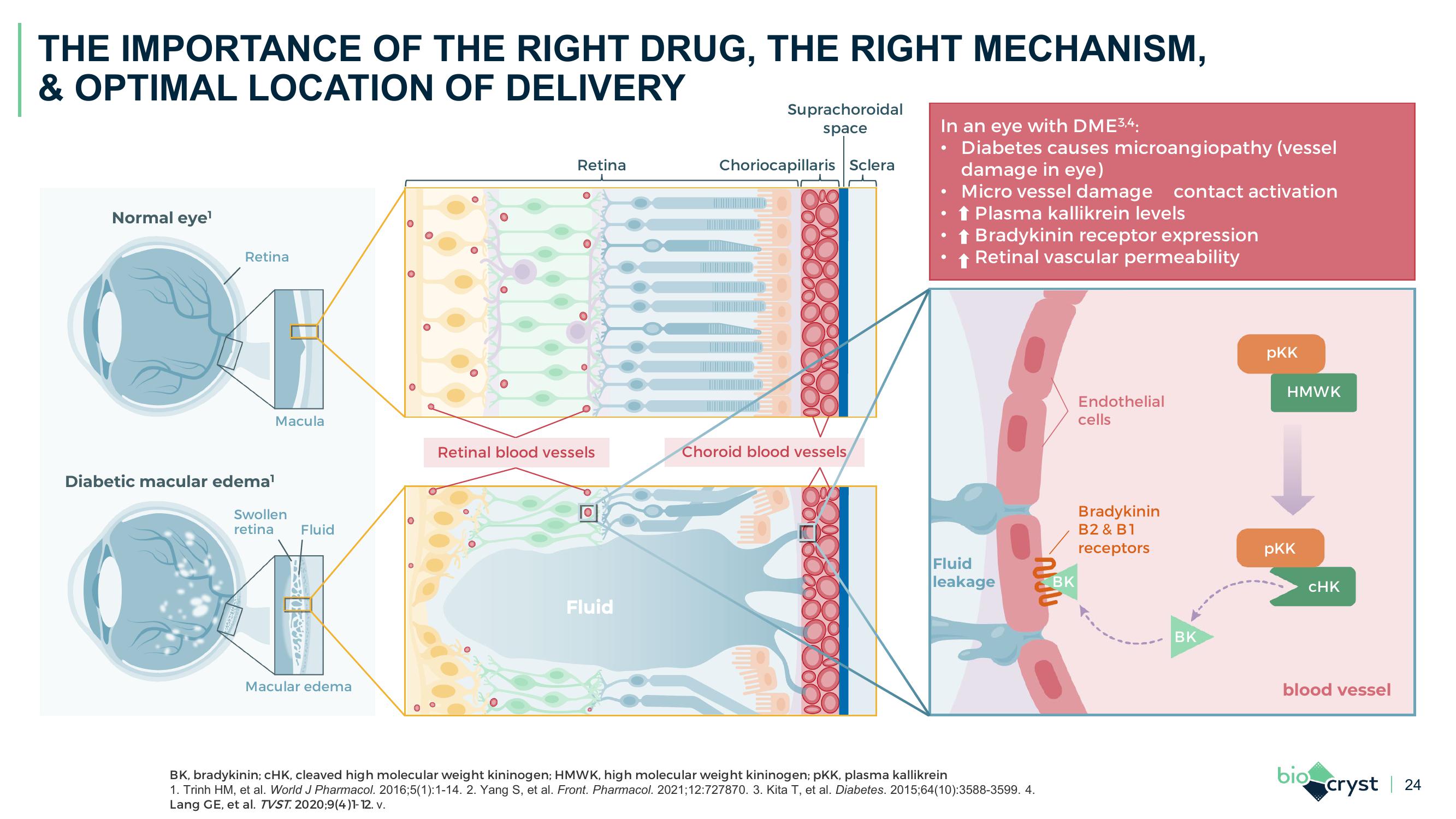 J.P. Morgan Healthcare Conference slide image #24