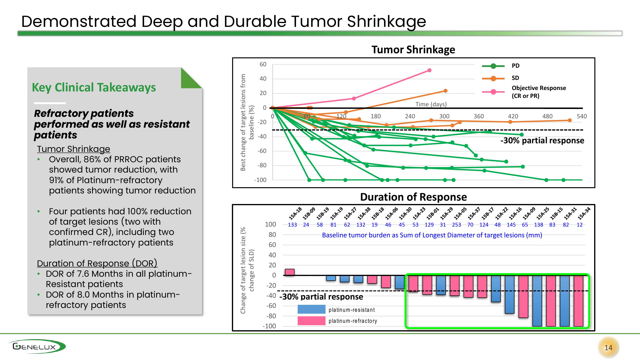 Genelux Investor Presentation Deck slide image #14