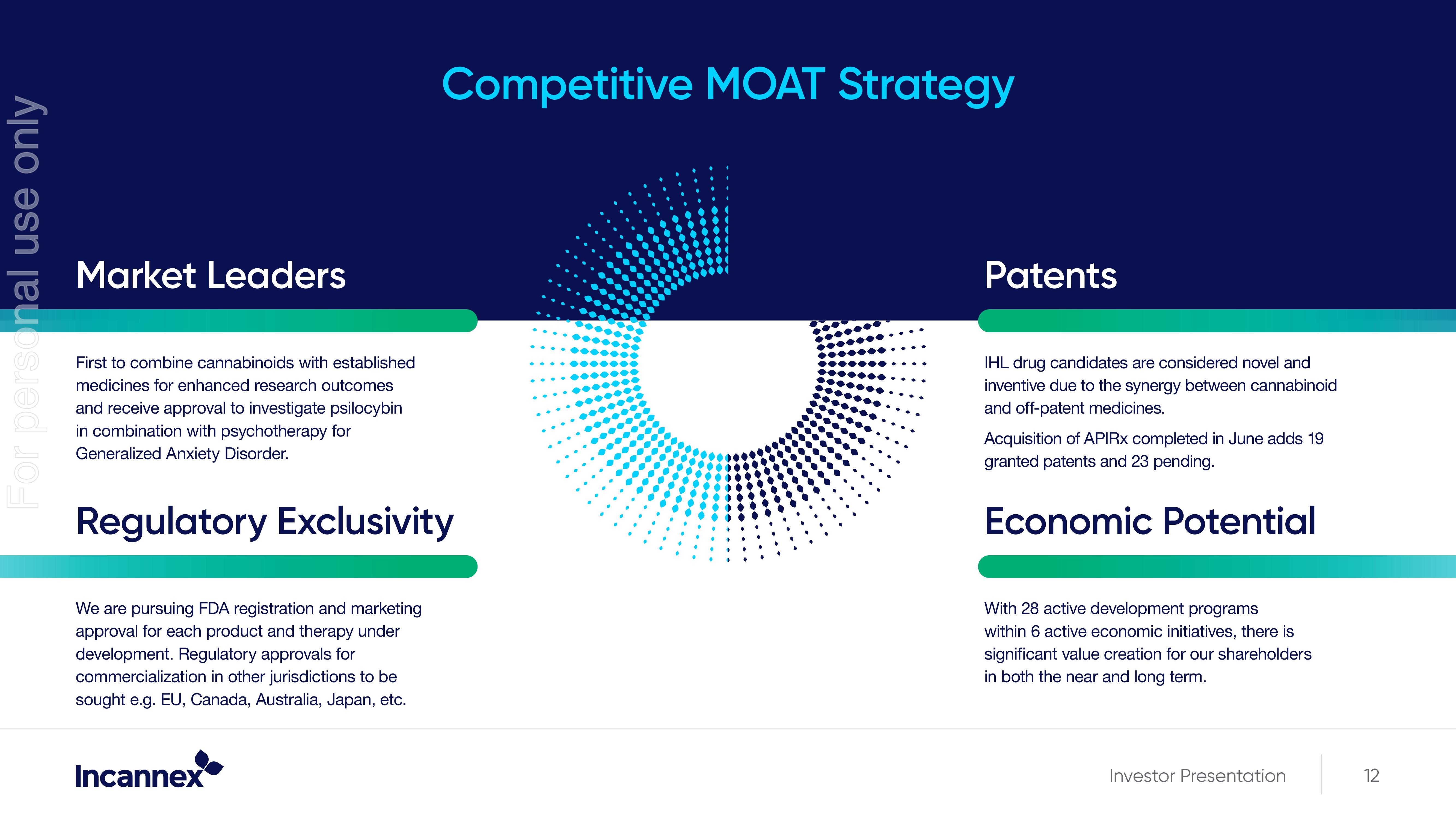 Company Overview slide image #12