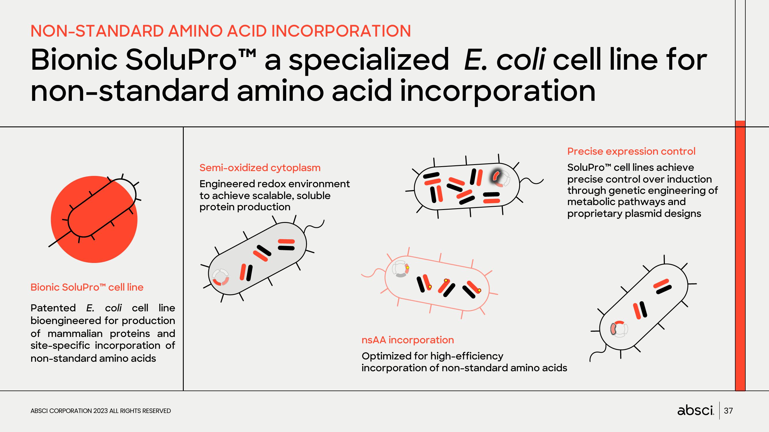 Absci Investor Presentation Deck slide image #37