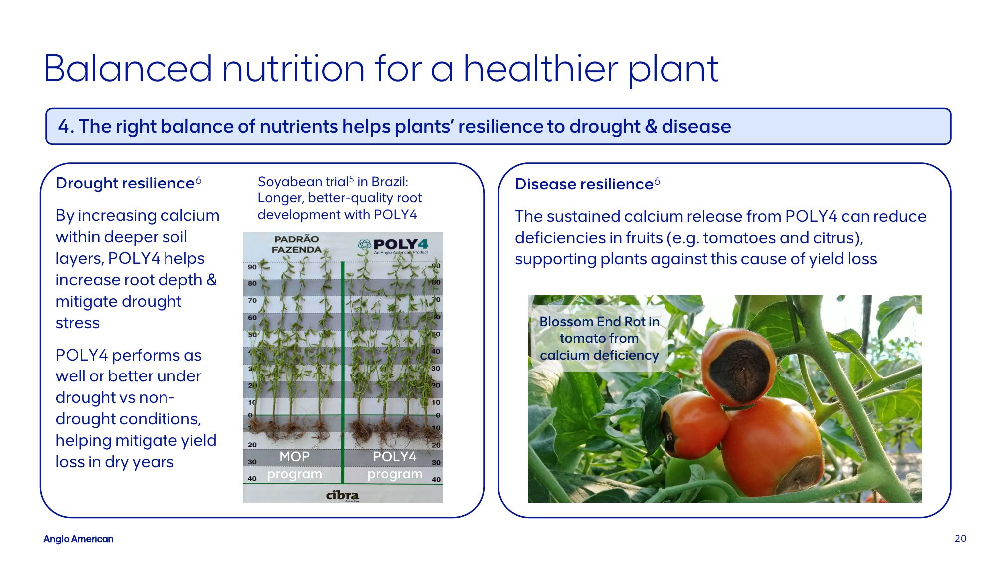 AngloAmerican Investor Presentation Deck slide image #20