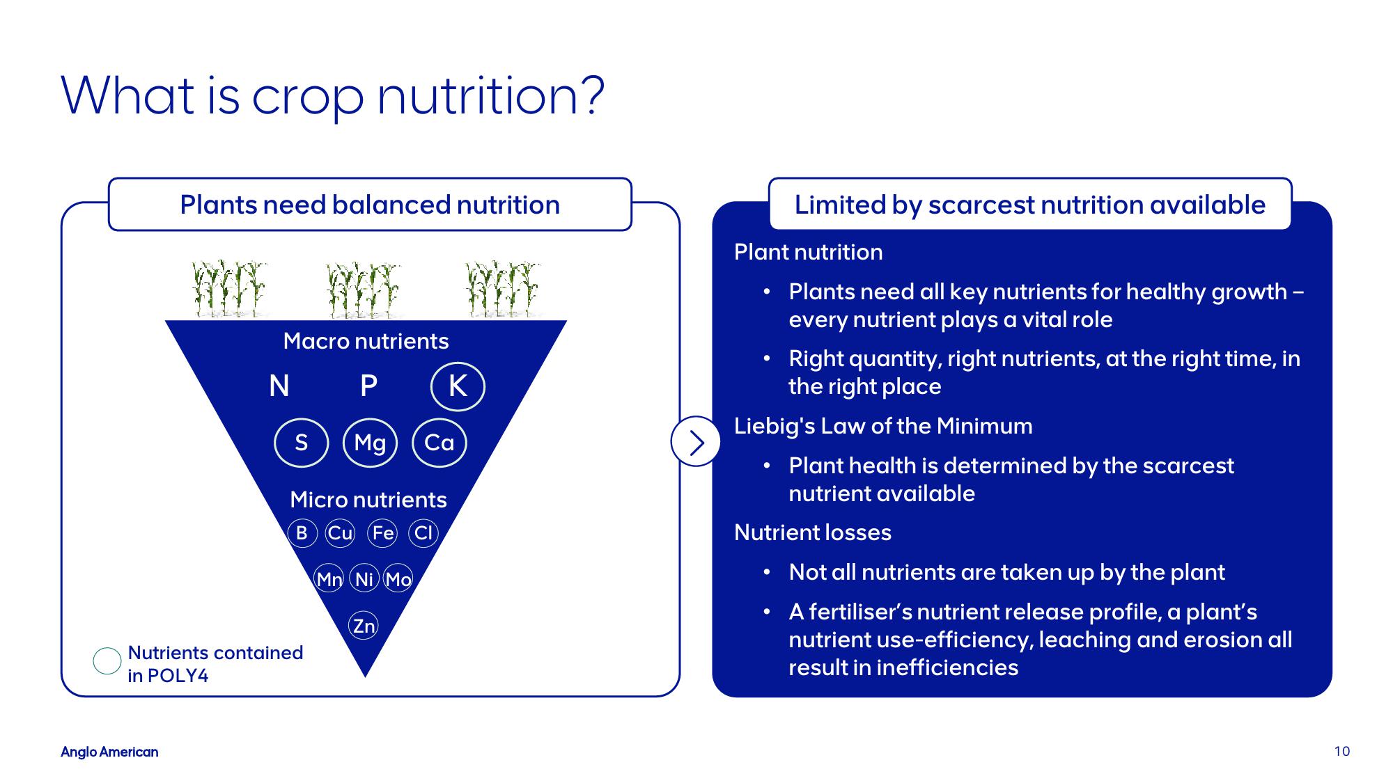 AngloAmerican Investor Presentation Deck slide image #10